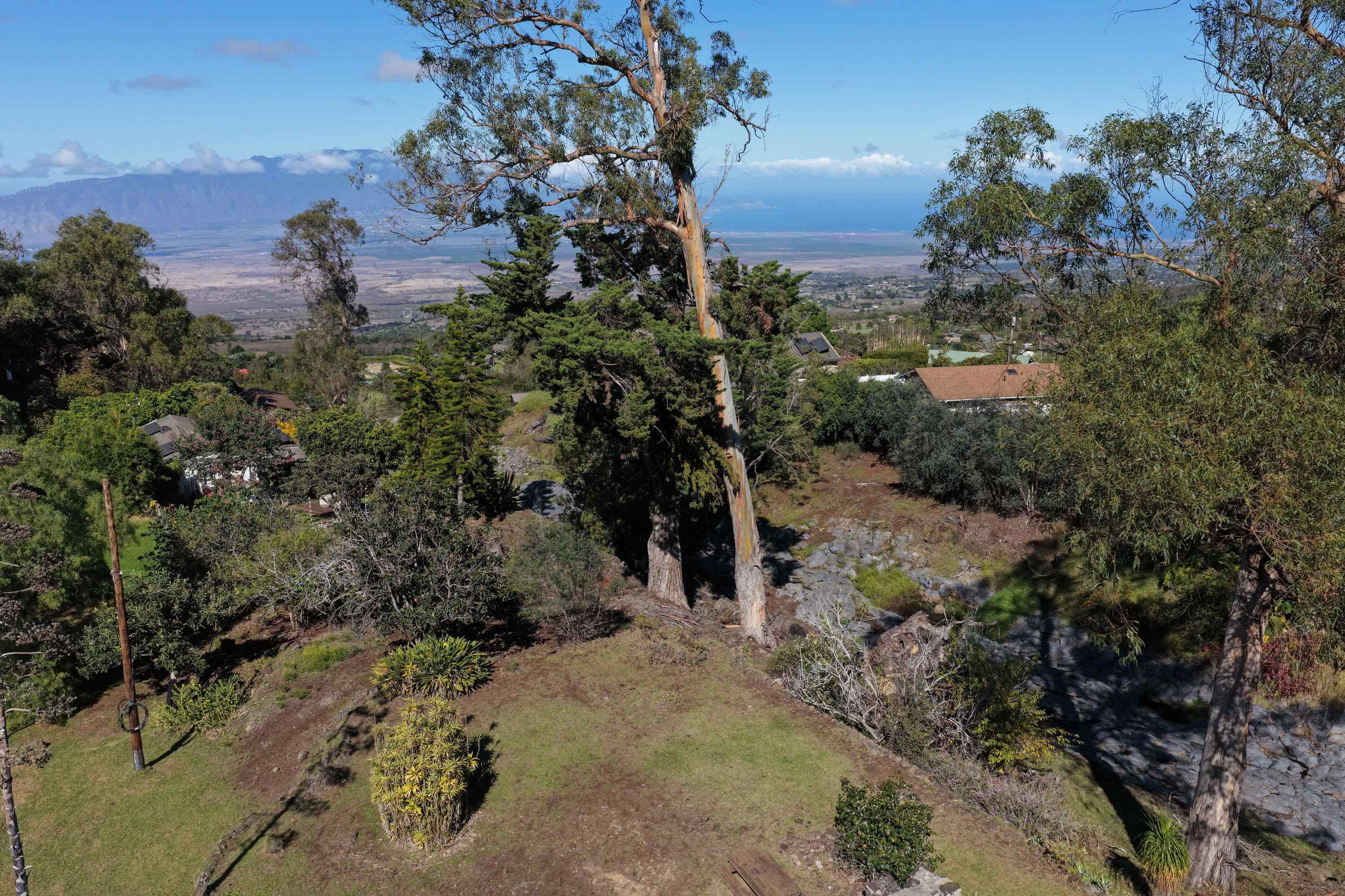1575 Kamehameiki Rd Property Photo 6