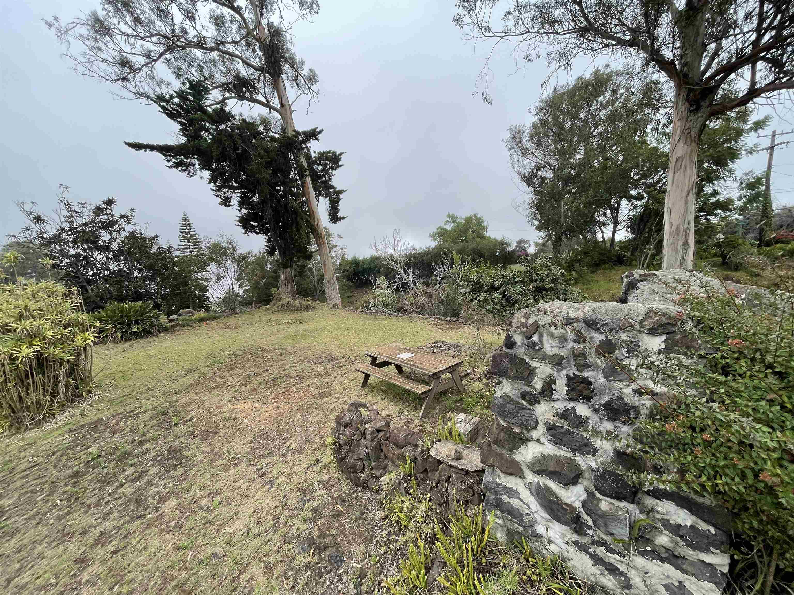 1575 Kamehameiki Rd Property Photo 9