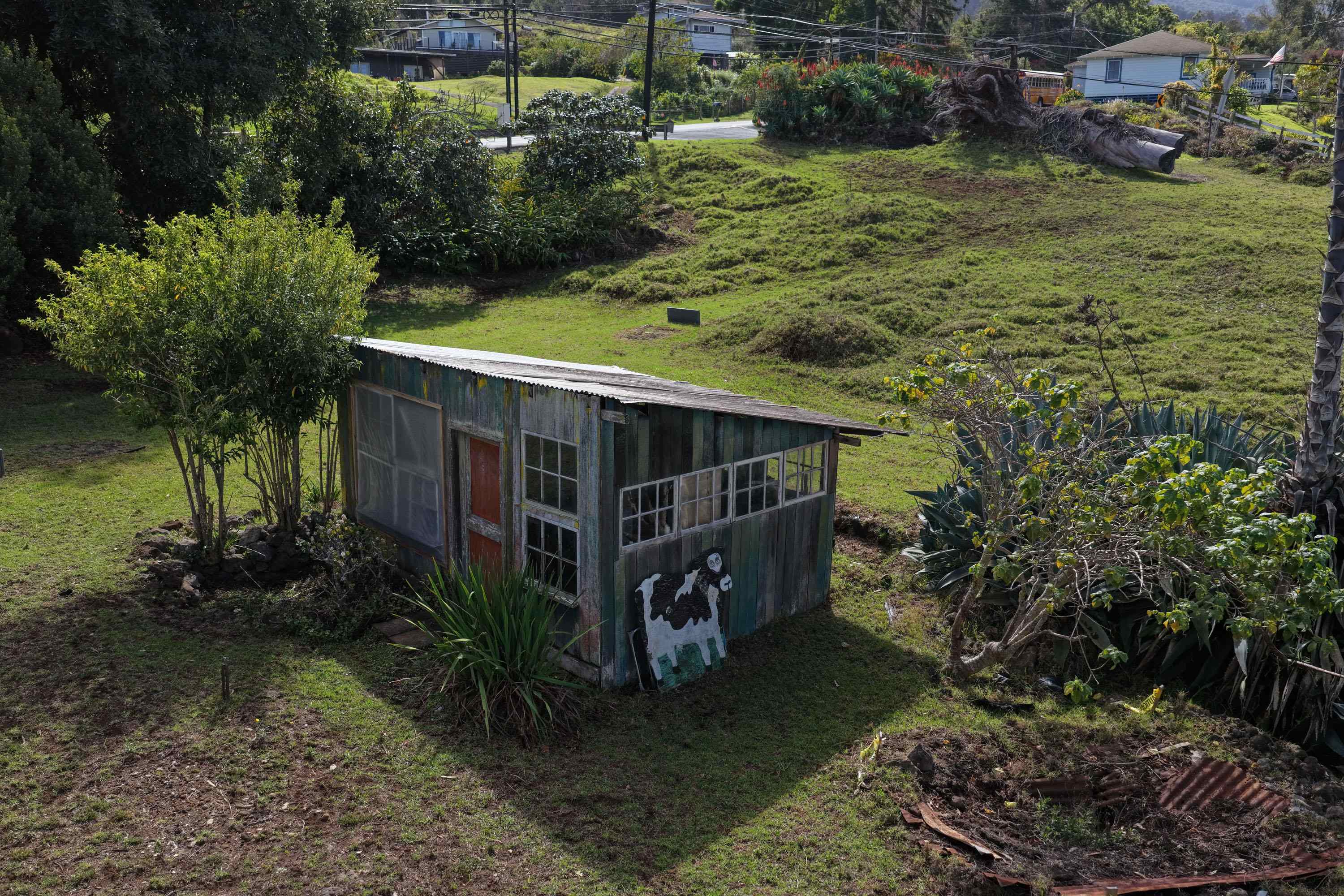 1575 Kamehameiki Rd Property Photo 24