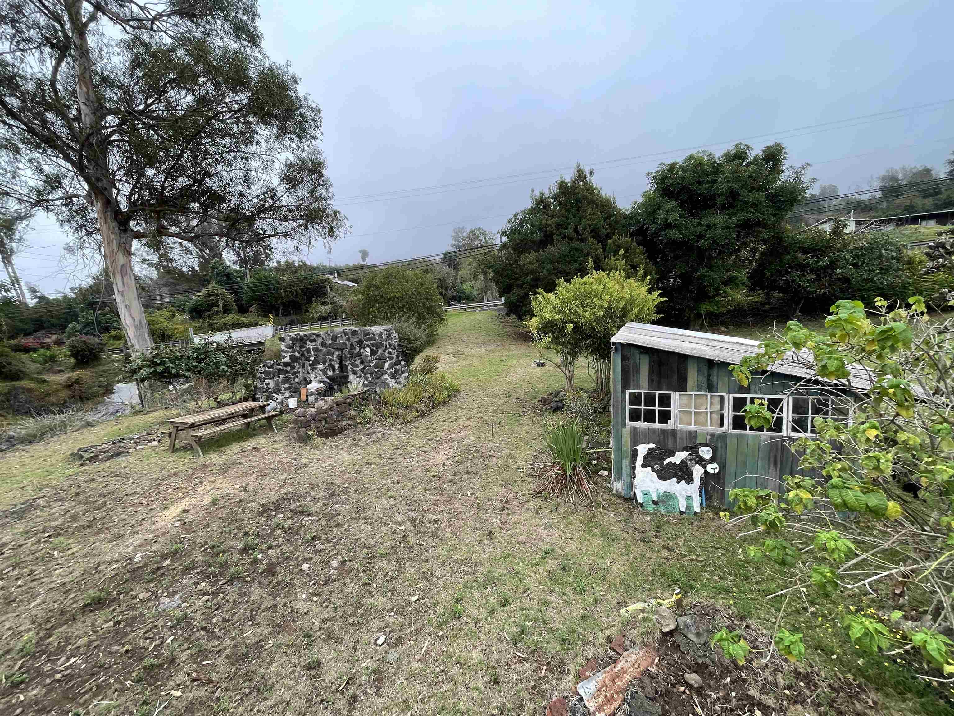 1575 Kamehameiki Rd Property Photo 28