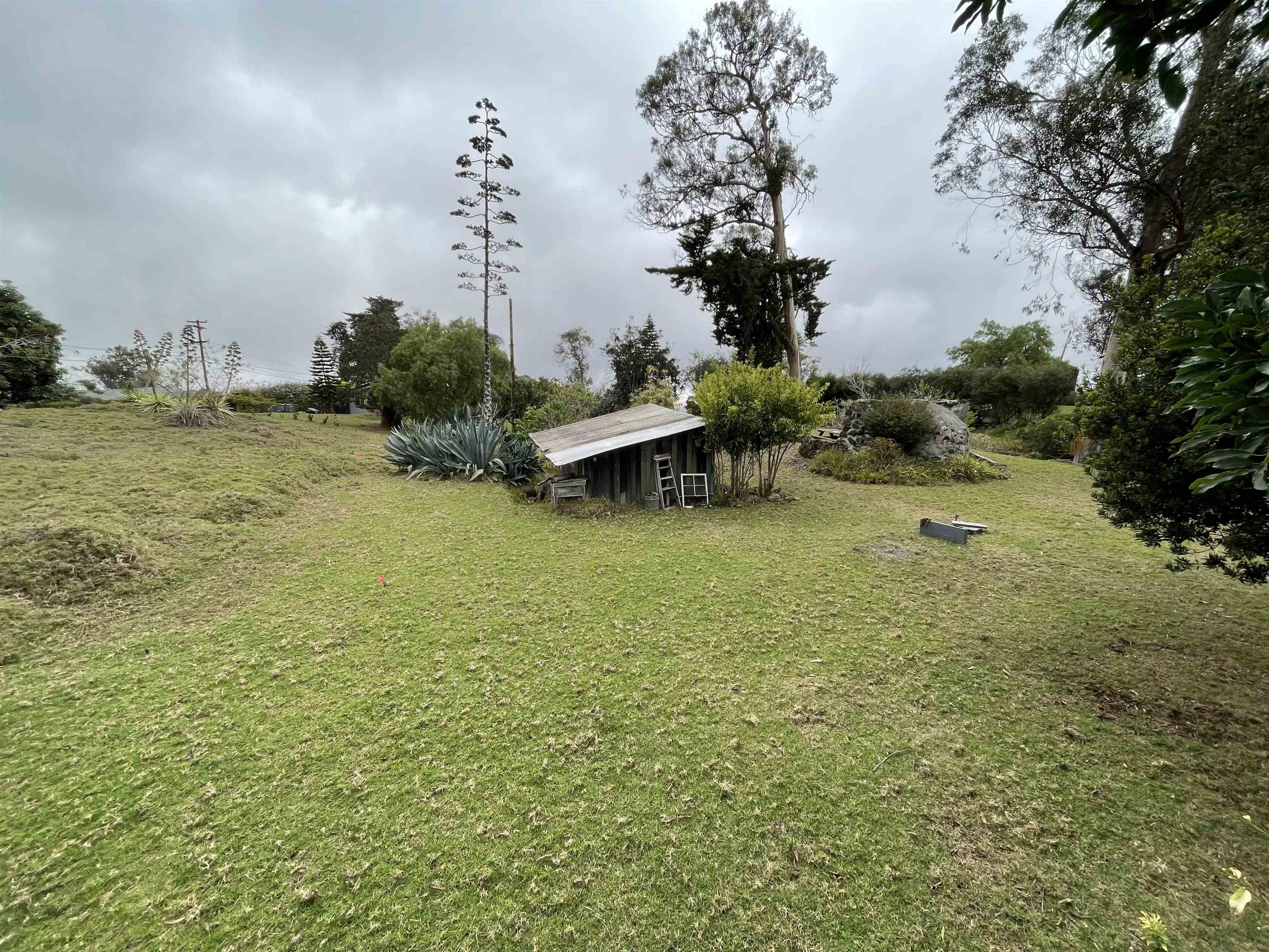 1575 Kamehameiki Rd Property Photo 35