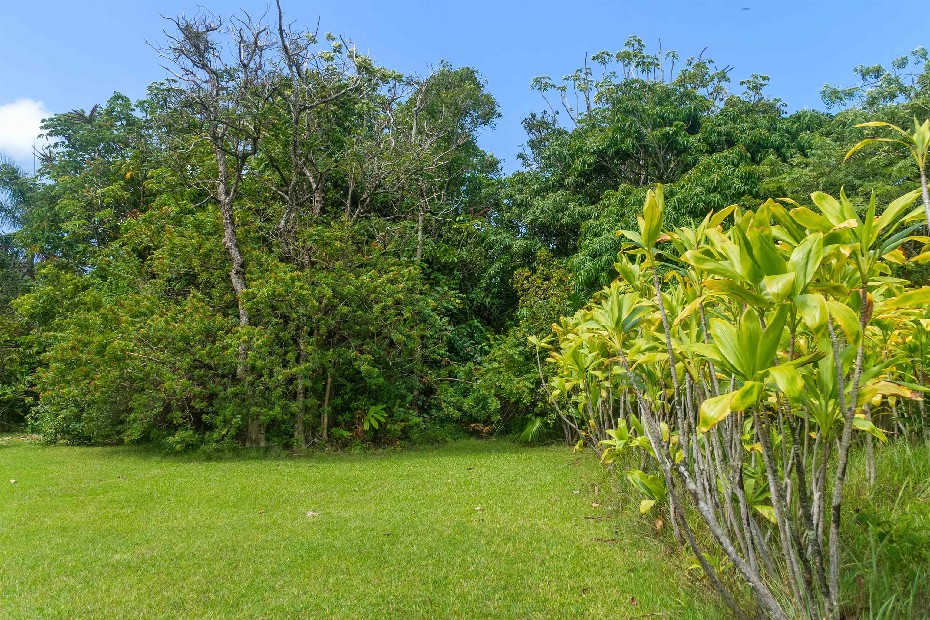 262 Wailua Rd Property Photo 23