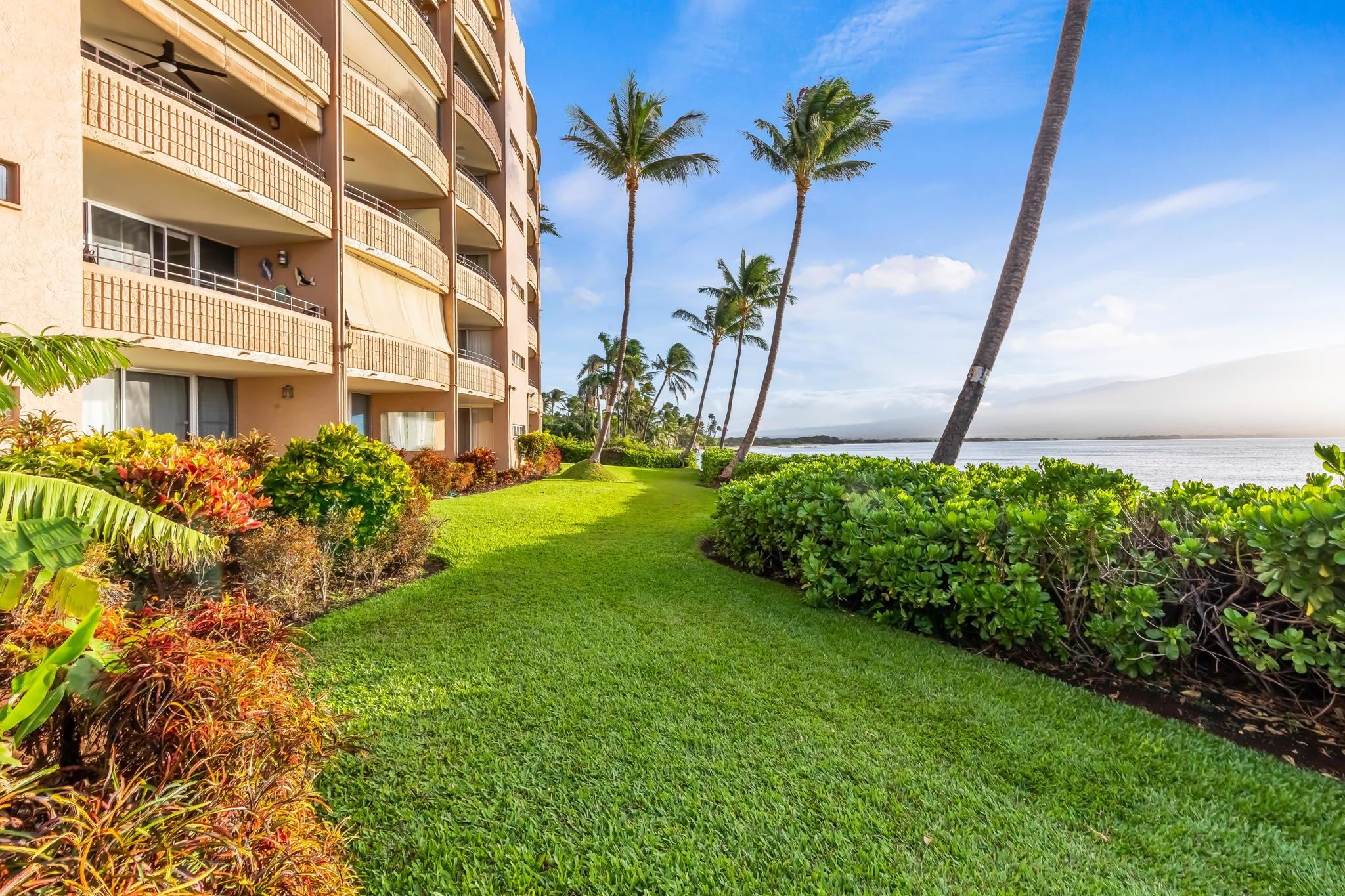 150 Hauoli St Property Photo 33