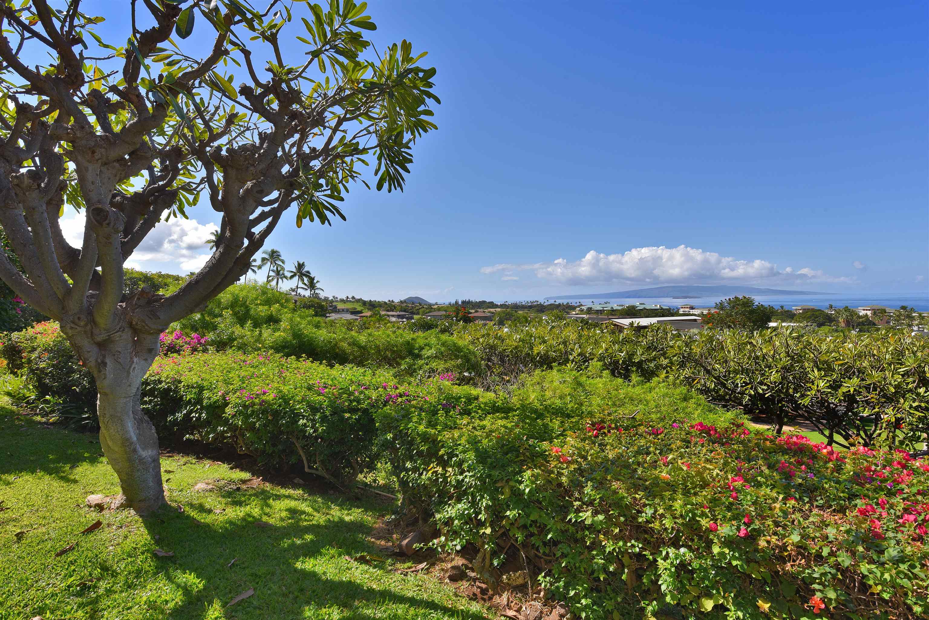 10 Wailea Ekolu Pl Property Photo 31