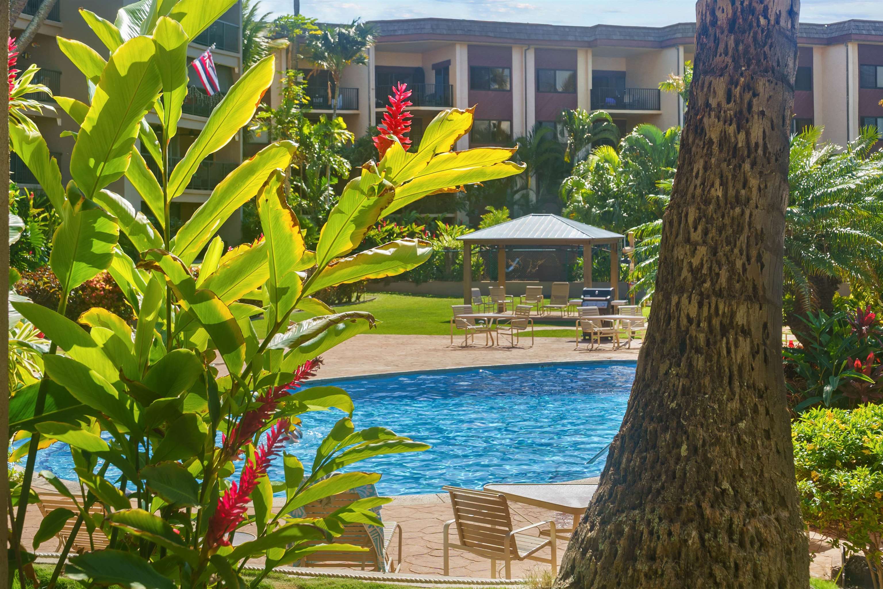 3823 Lower Honoapiilani Rd Property Photo 12