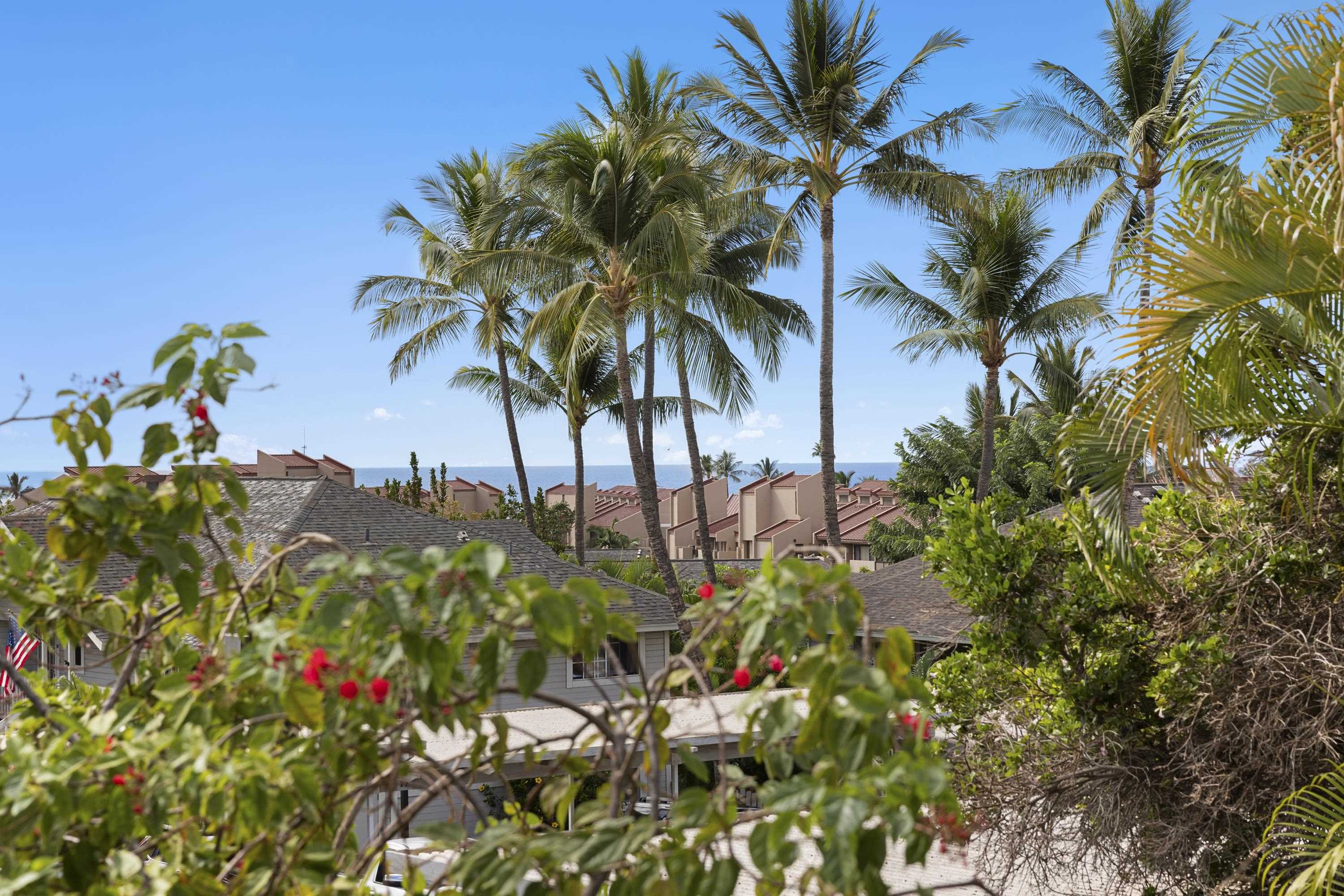 160 Keonekai Rd Property Photo 1