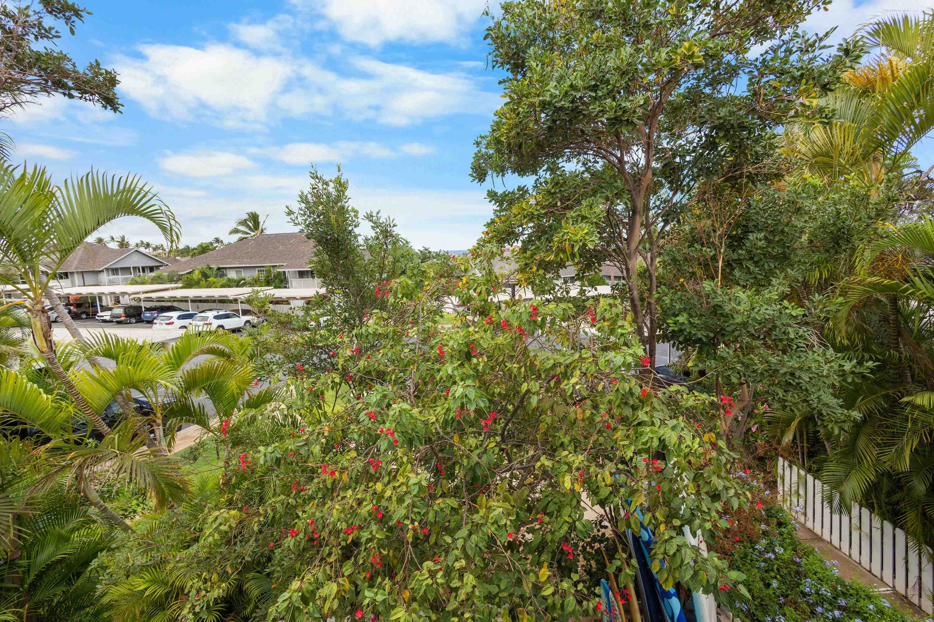 160 Keonekai Rd Property Photo 35