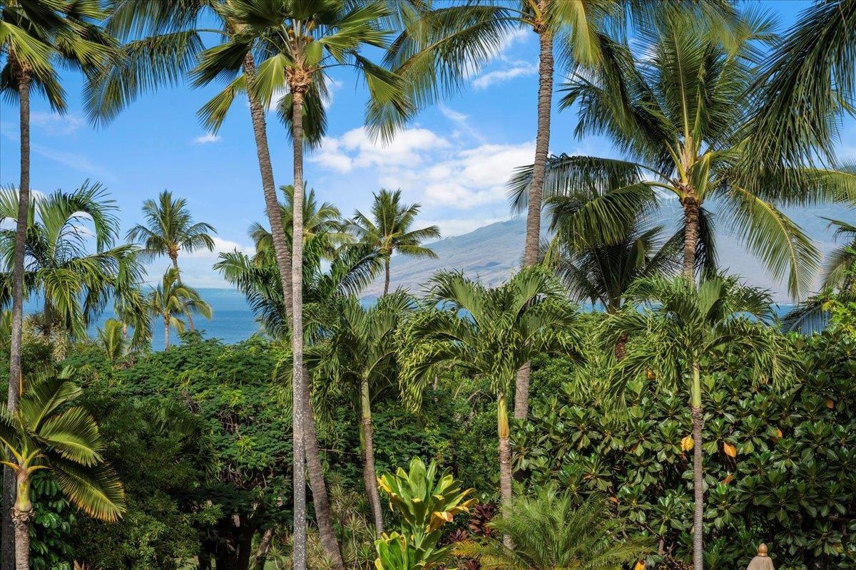 135 Kaimanu Pl Property Photo 22