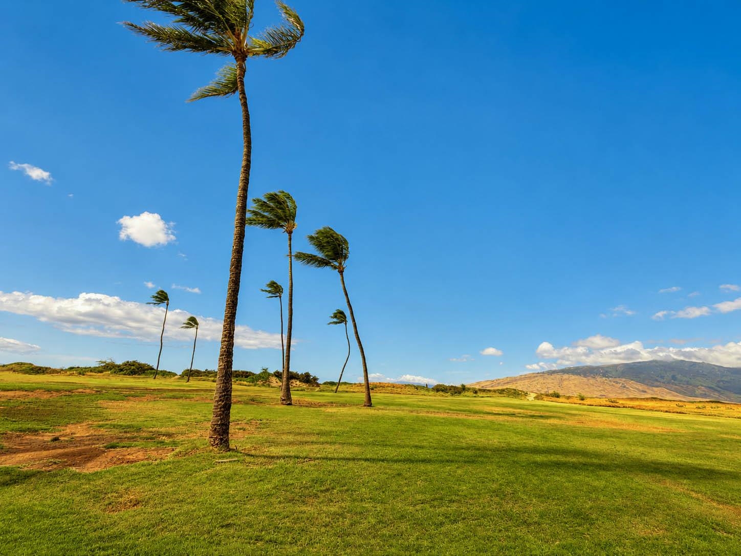 938 S Kihei Rd Property Photo 34