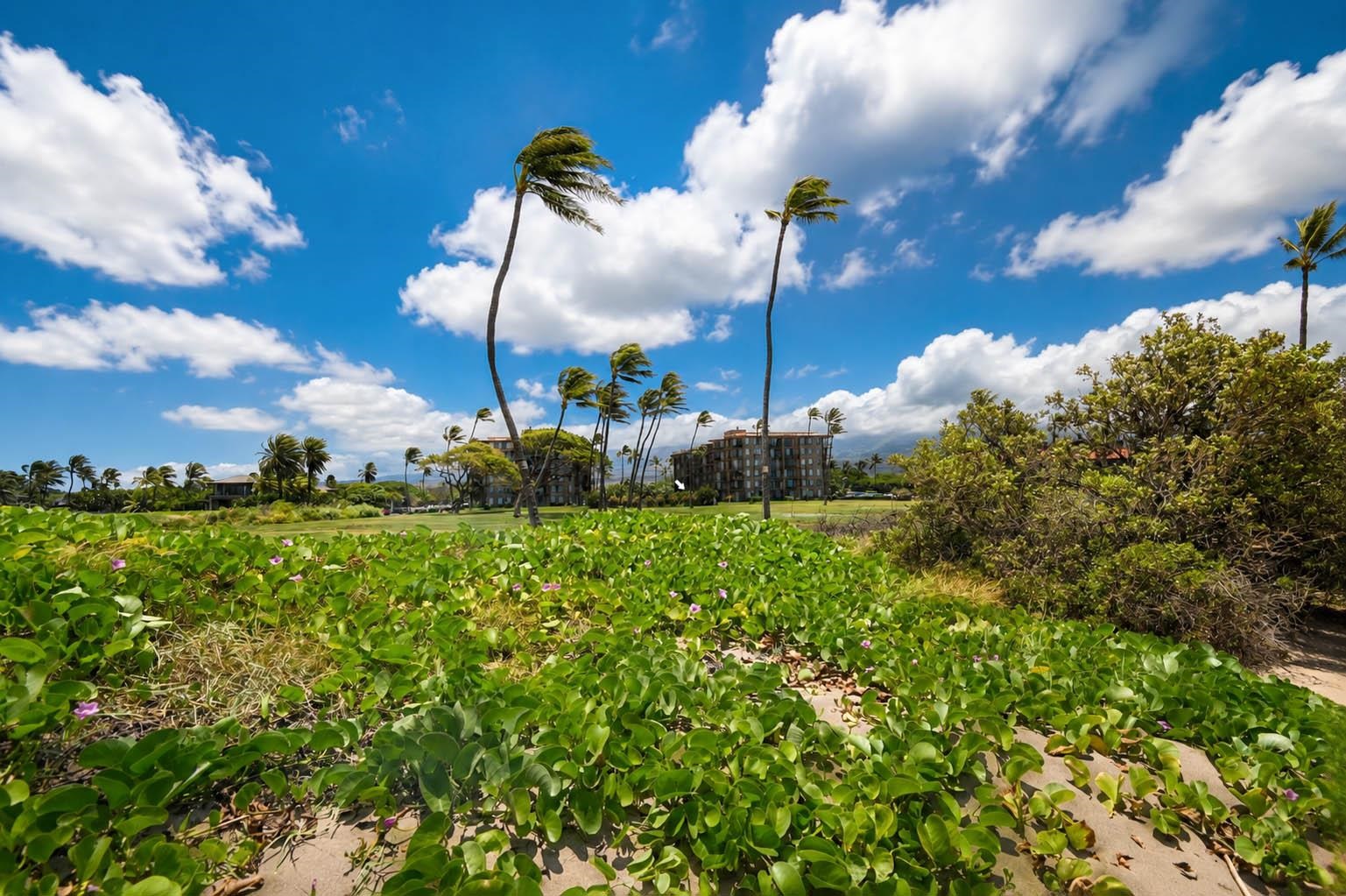 938 S Kihei Rd Property Photo 38