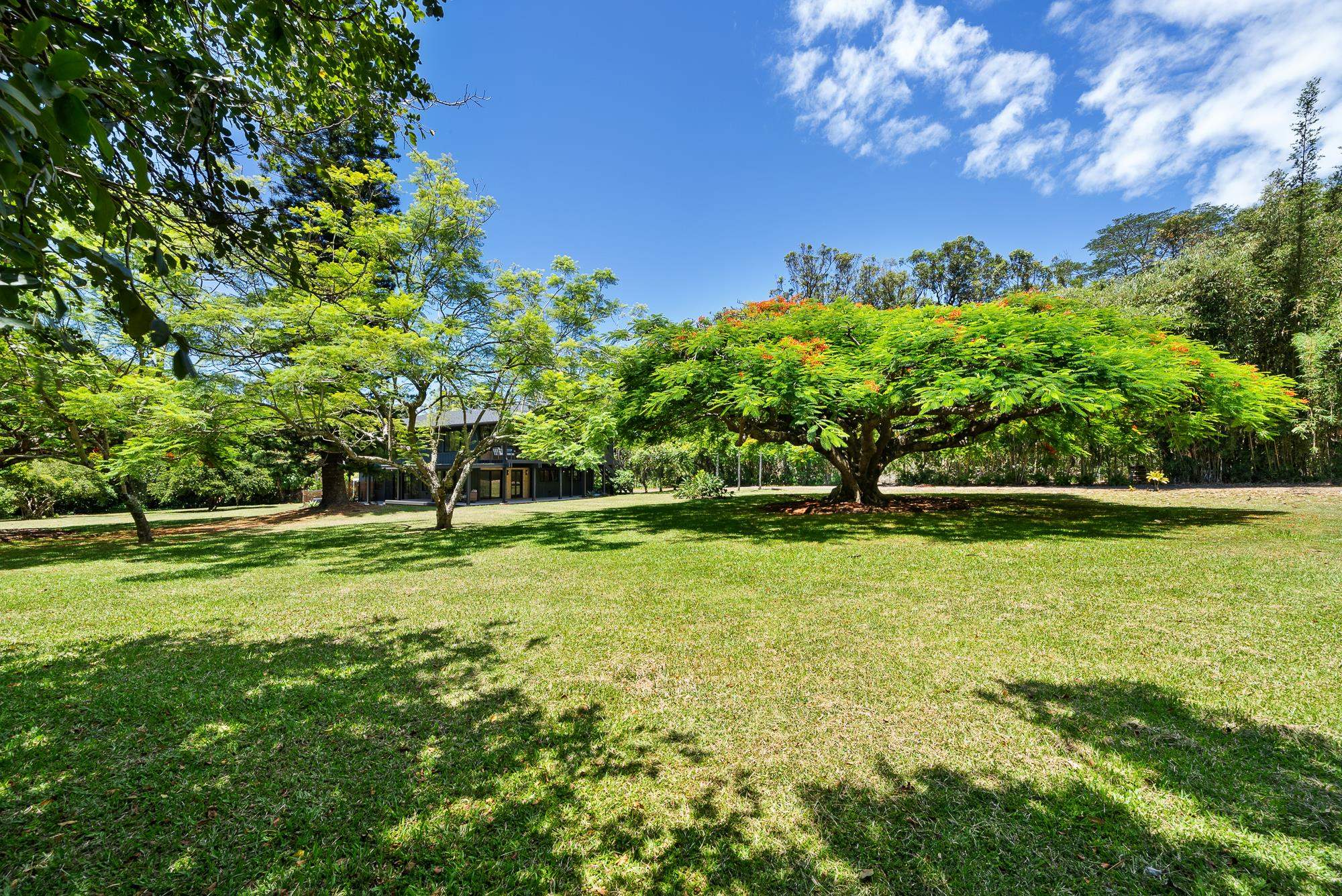 965 Hog Back Rd Property Photo 38