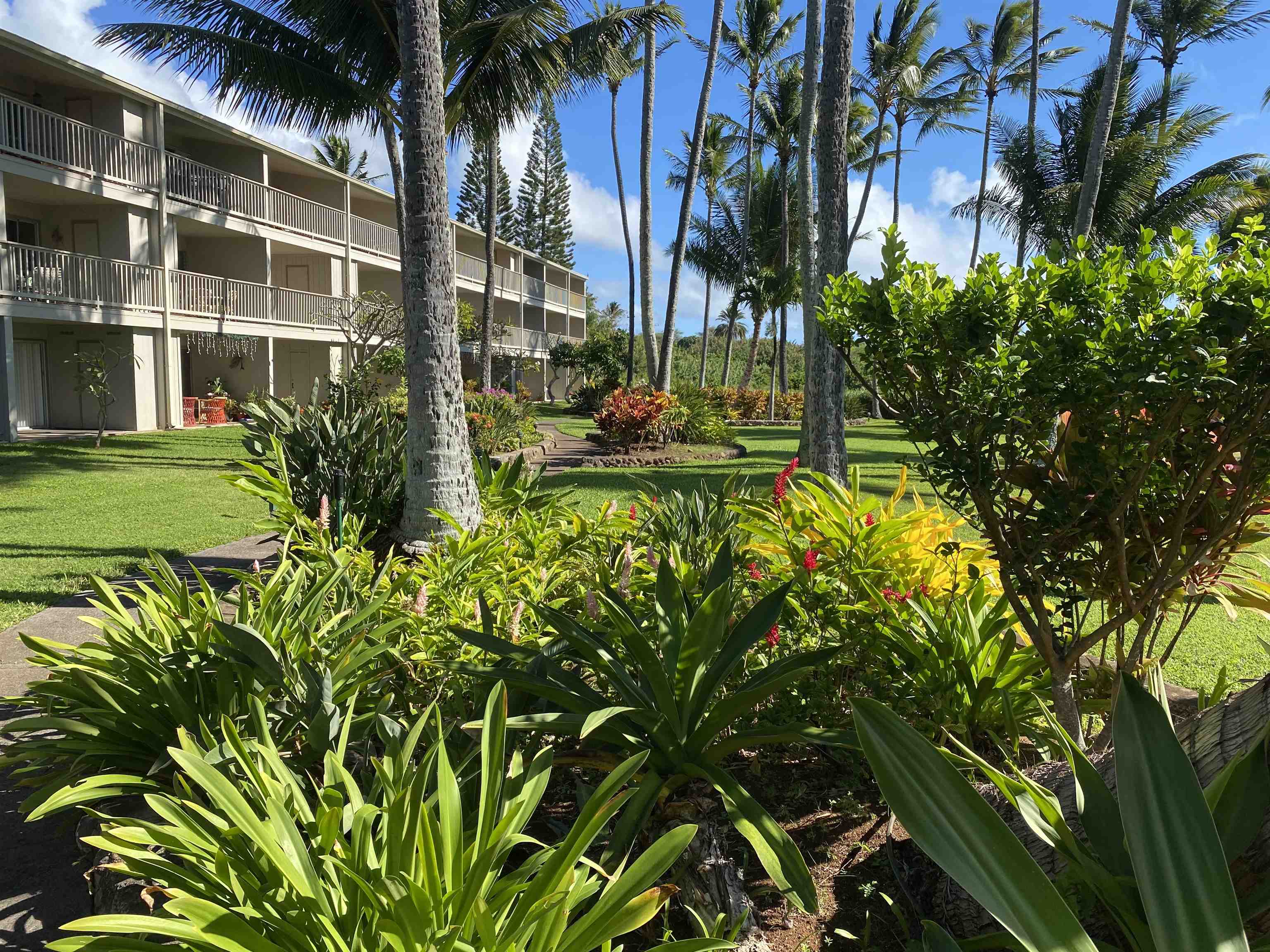 7146 Kamehameha V Hwy Property Photo 1