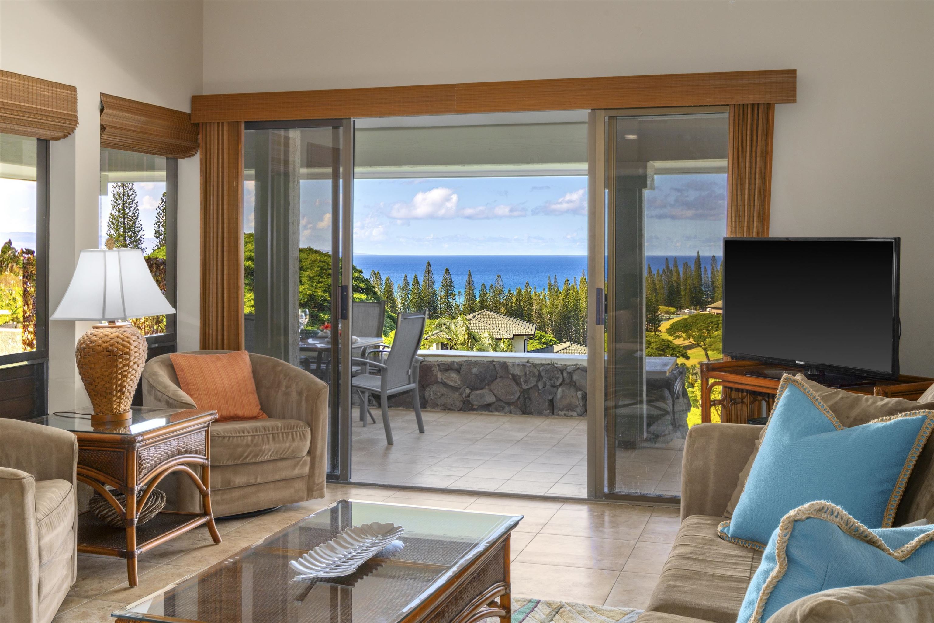 500 Kapalua Dr Property Photo 8