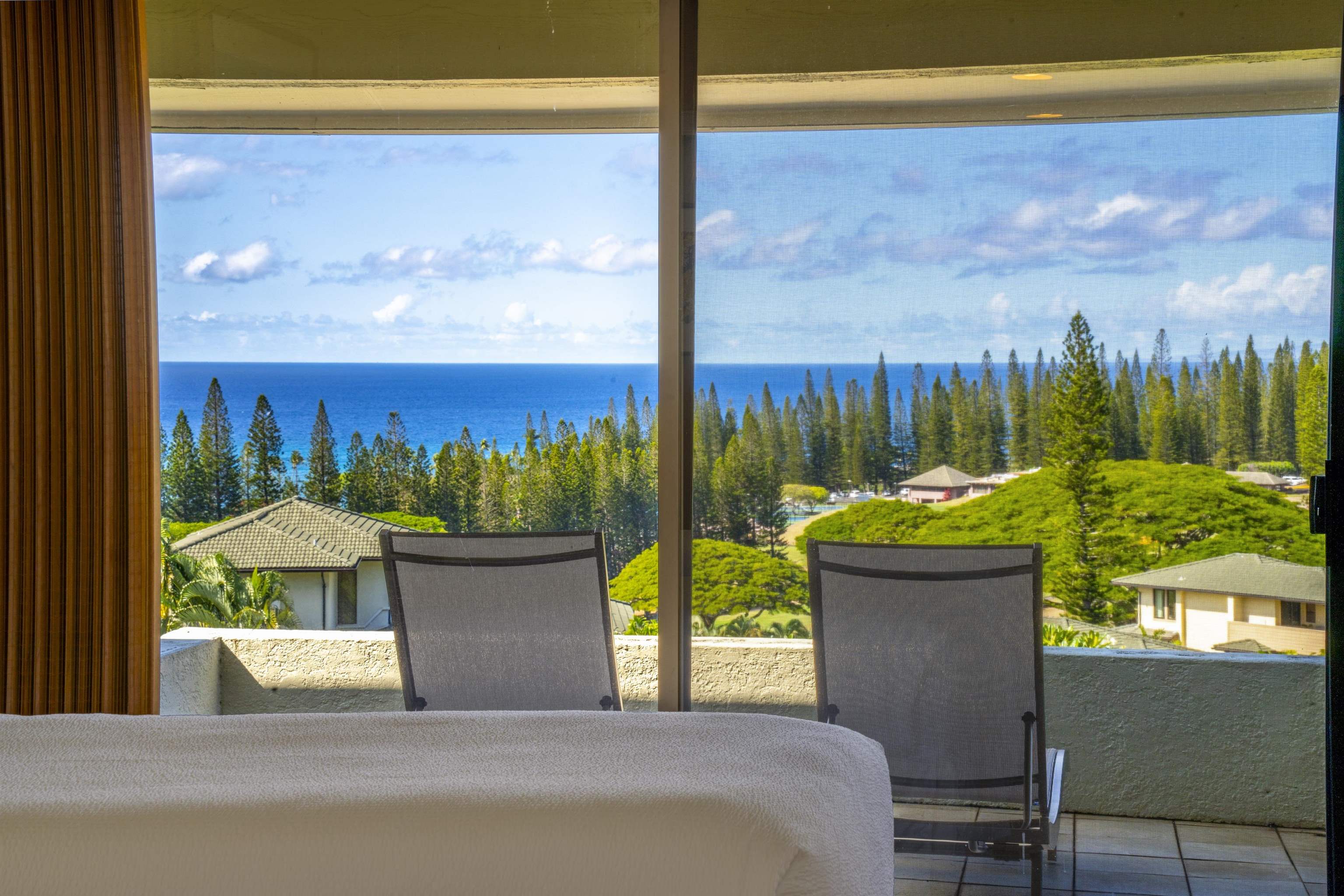 500 Kapalua Dr Property Photo 19