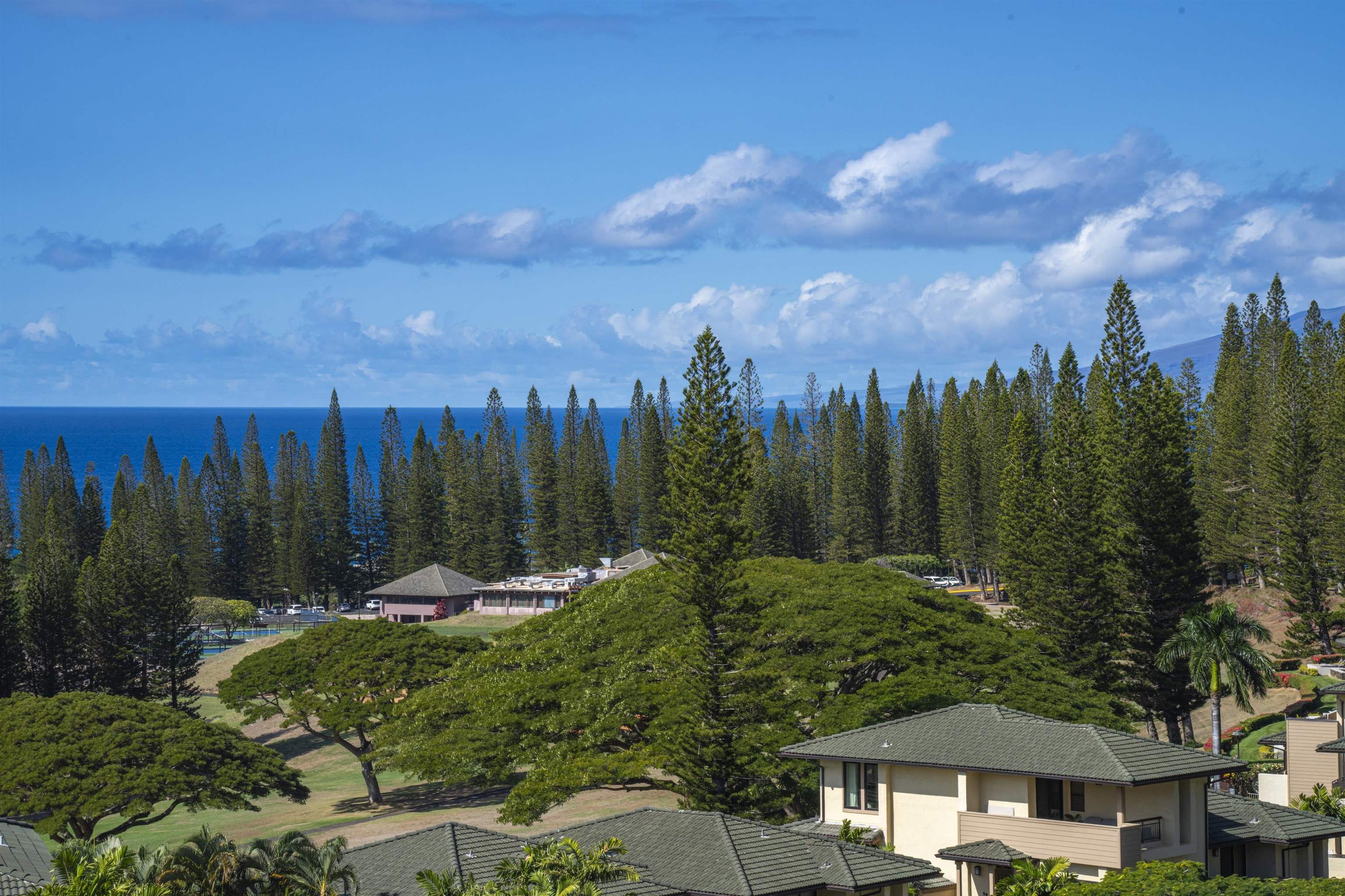 500 Kapalua Dr Property Photo 34