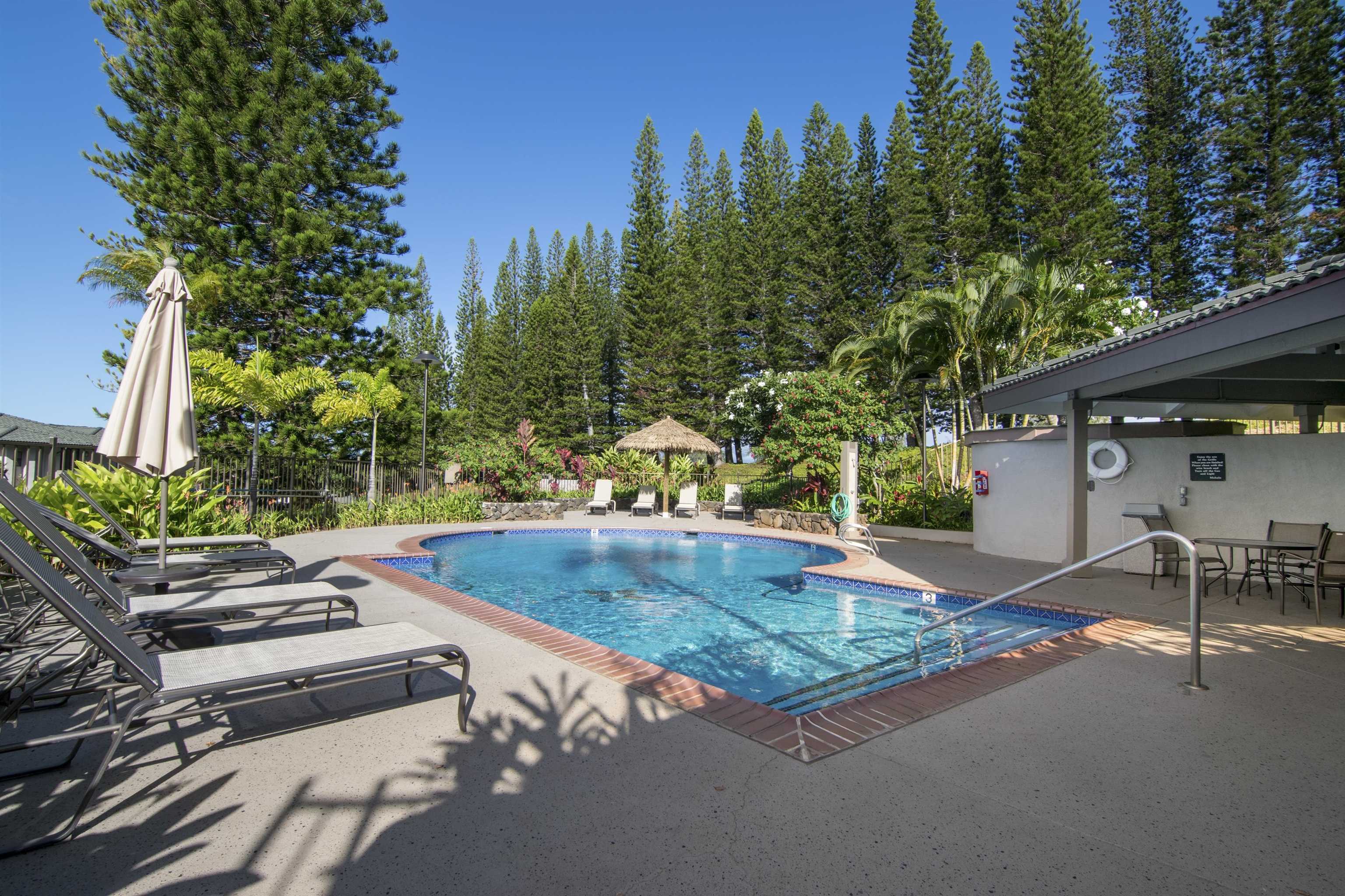 500 Kapalua Dr Property Photo 38