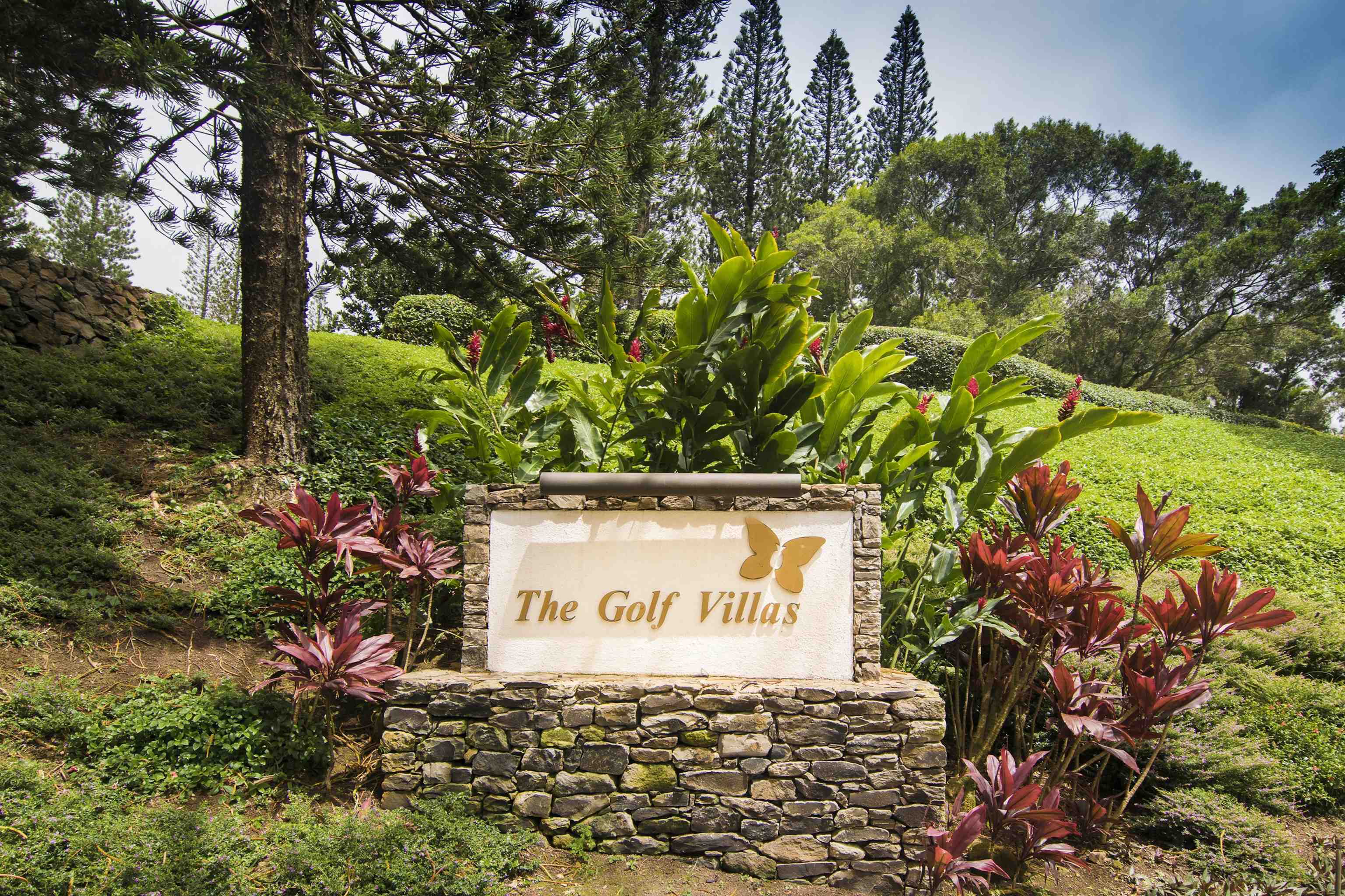 500 Kapalua Dr Property Photo 39