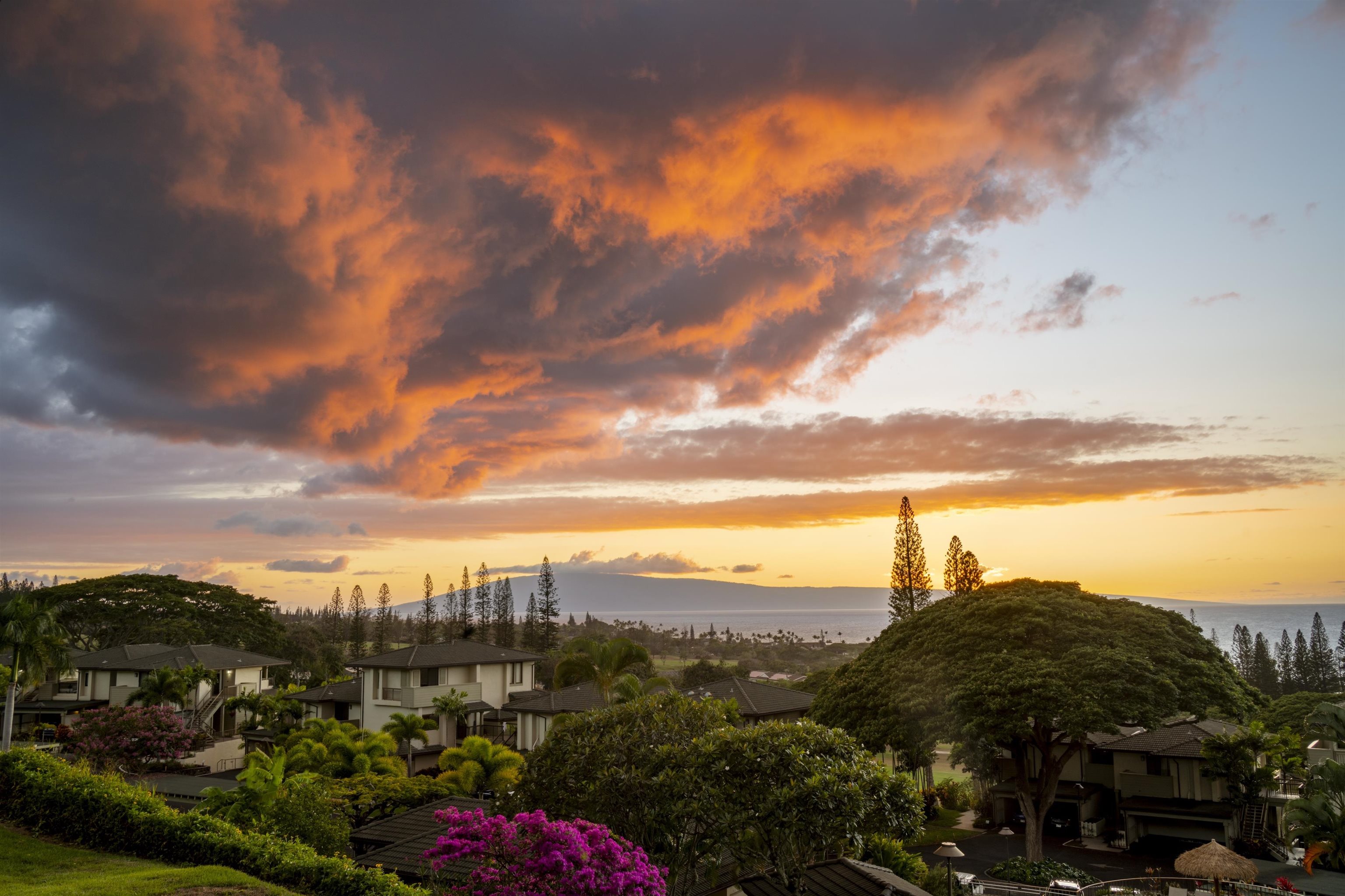 500 Kapalua Dr Property Photo 44