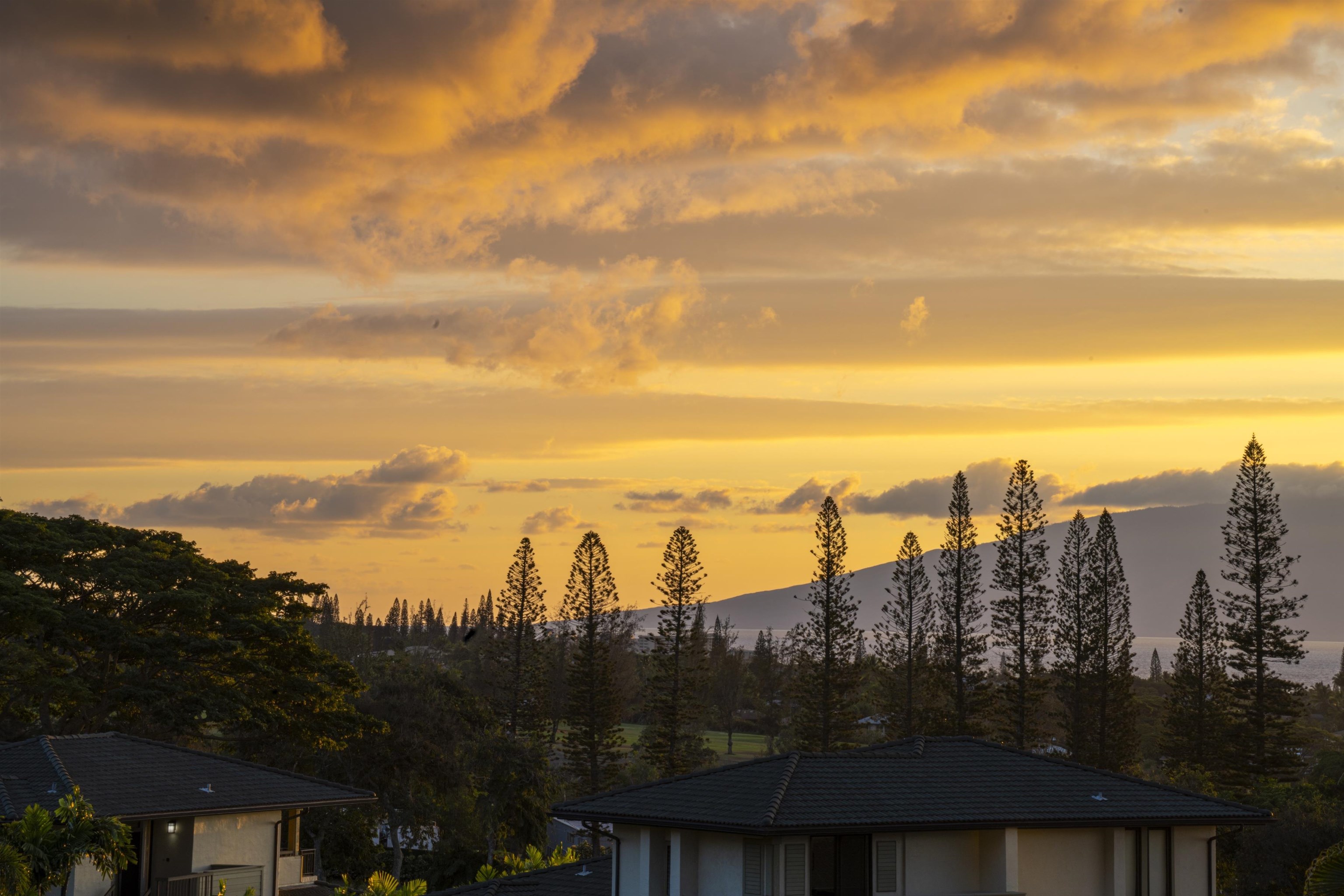 500 Kapalua Dr Property Photo 45