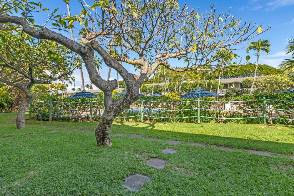 5315 Lower Honoapiilani Rd Property Photo 18