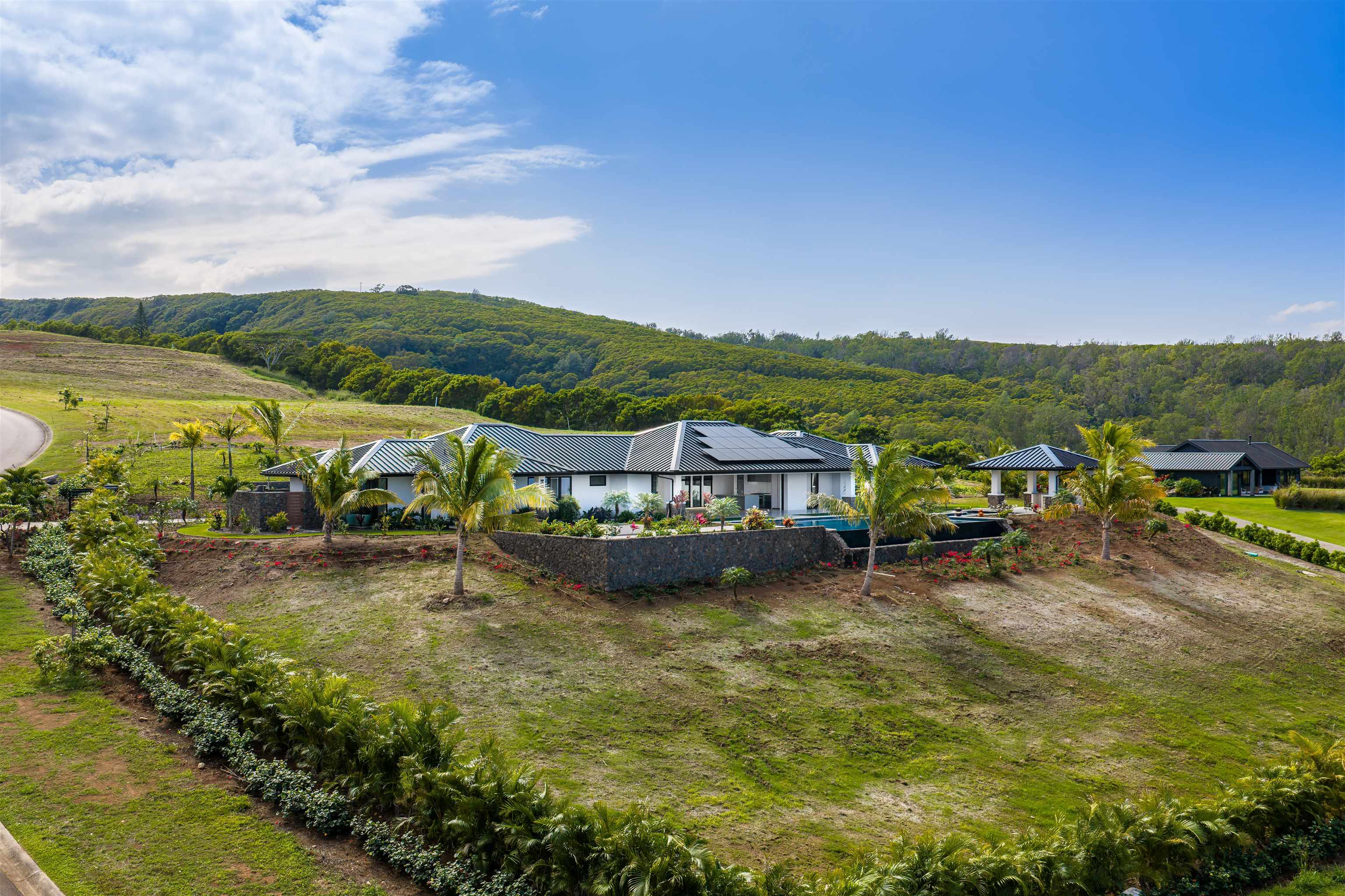710 Mahana Ridge St Property Photo 44