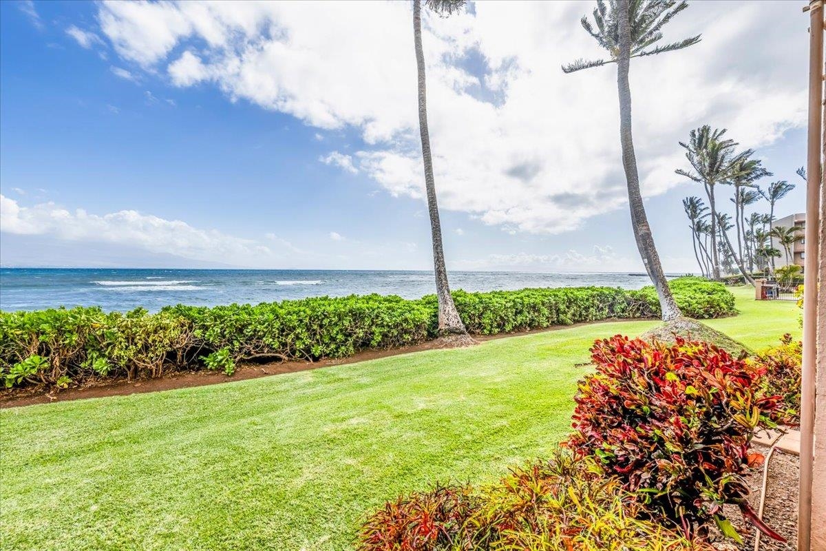 150 Hauoli St Property Photo 4