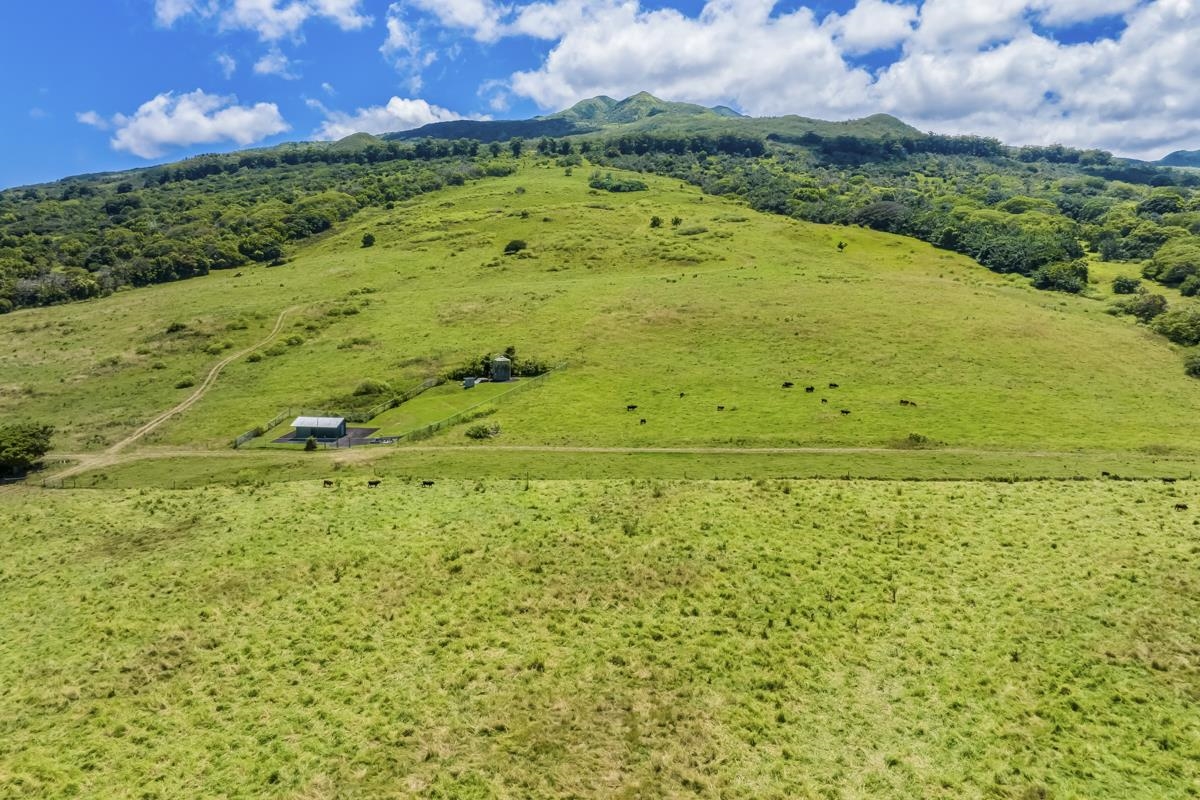 5670 Hana Hwy Property Photo 10