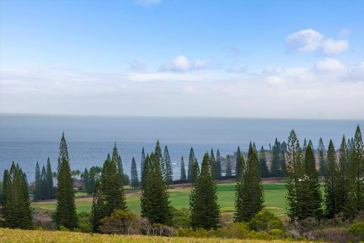 265 Uki Uki Loop Property Photo 15