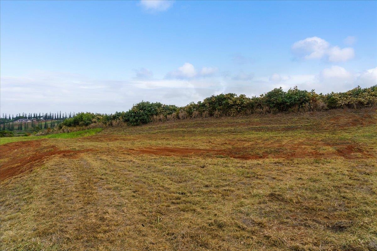 265 Uki Uki Loop Property Photo 25