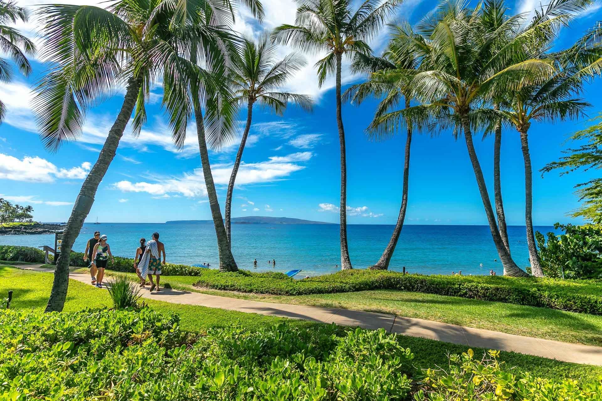 3600 Wailea Alanui Dr Property Photo 31