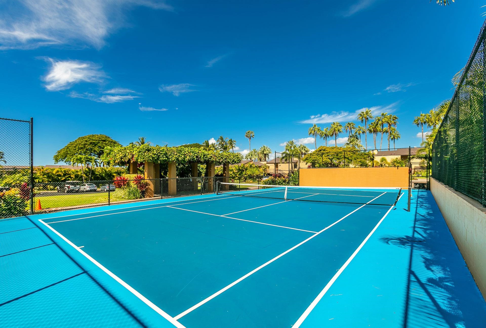 3600 Wailea Alanui Dr Property Photo 41