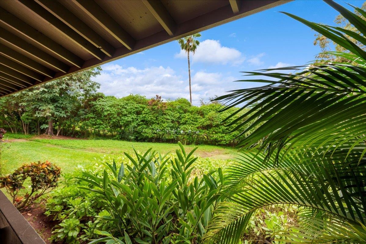 150 Puukolii Rd Property Photo 11