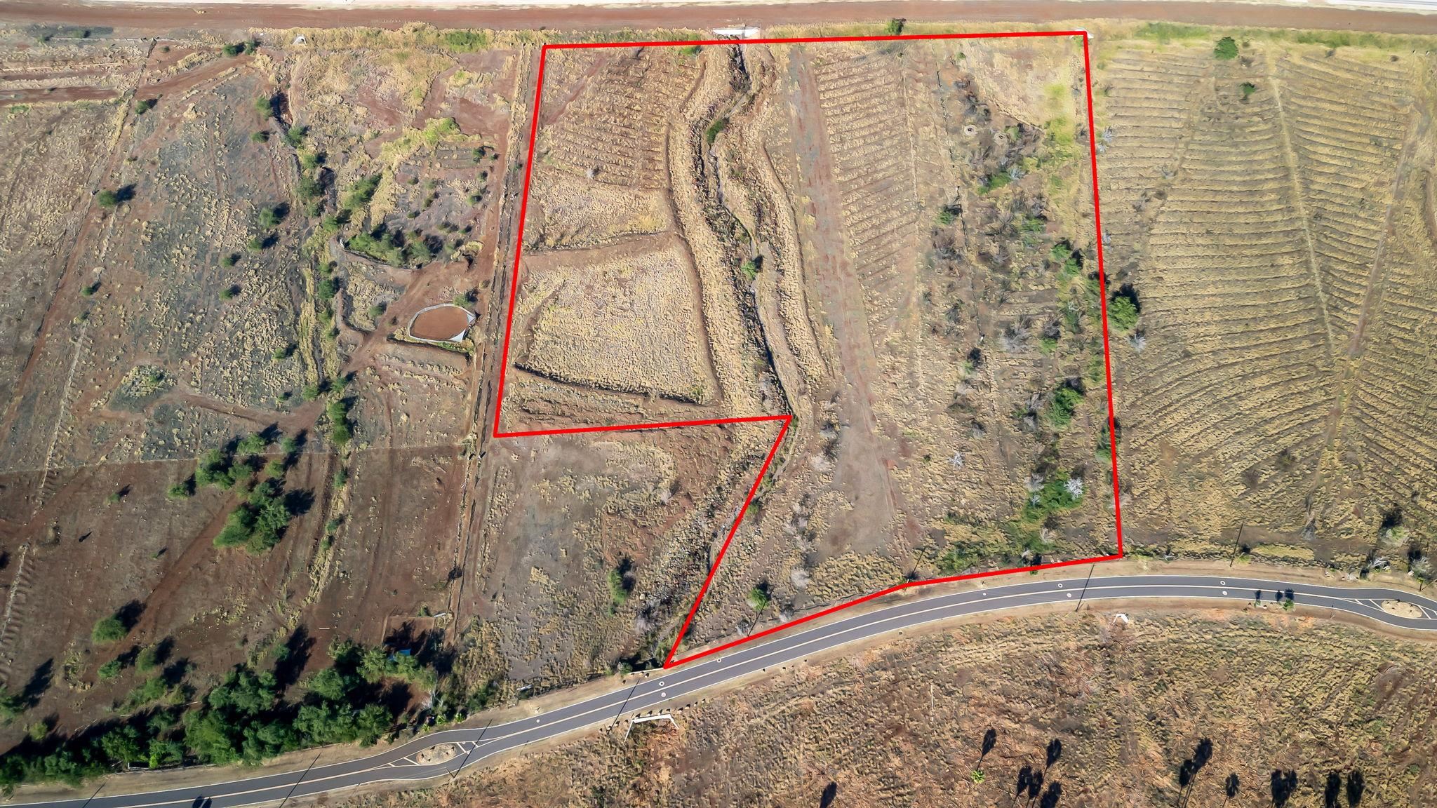 1408 Waianukole St Property Photo 4