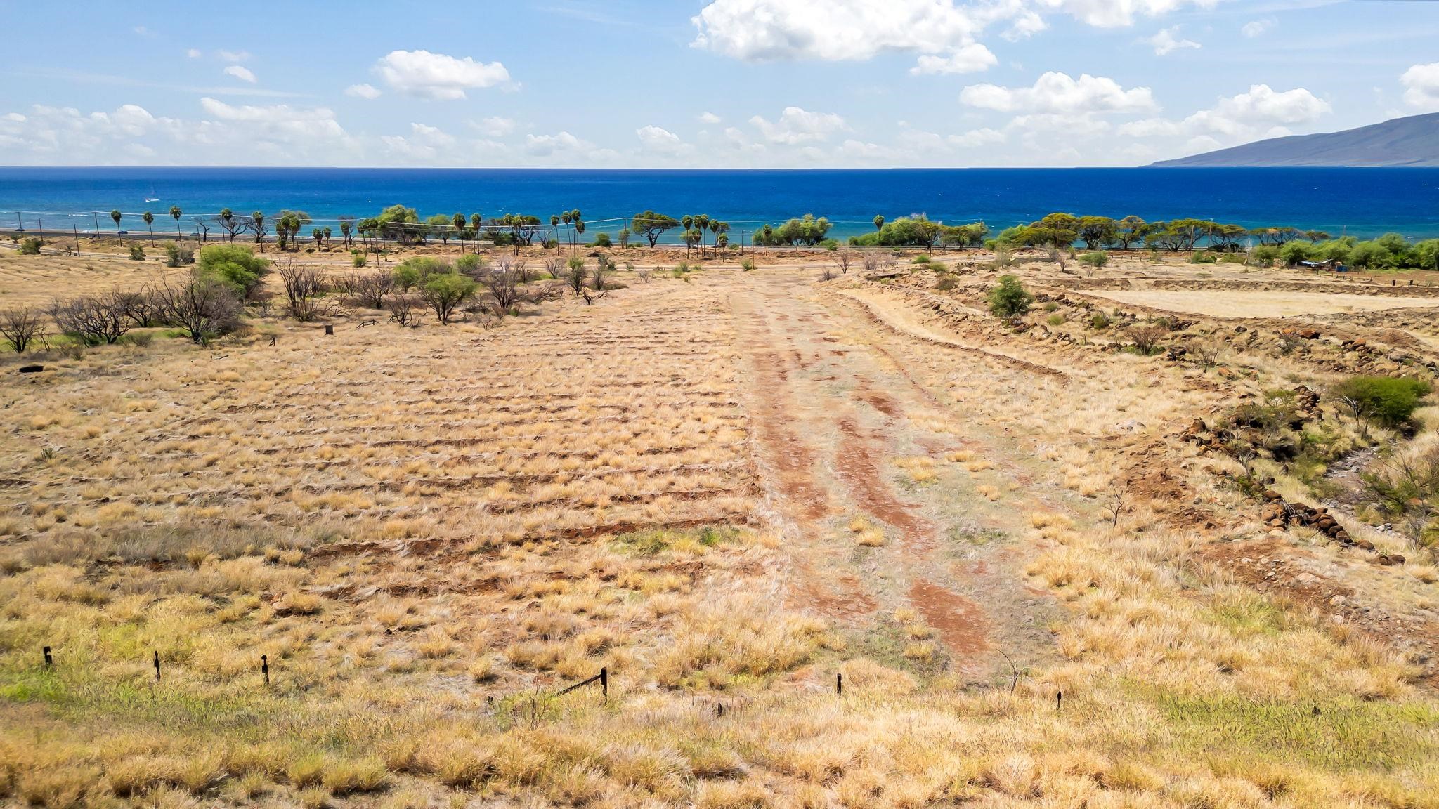 1408 Waianukole St Property Photo 7