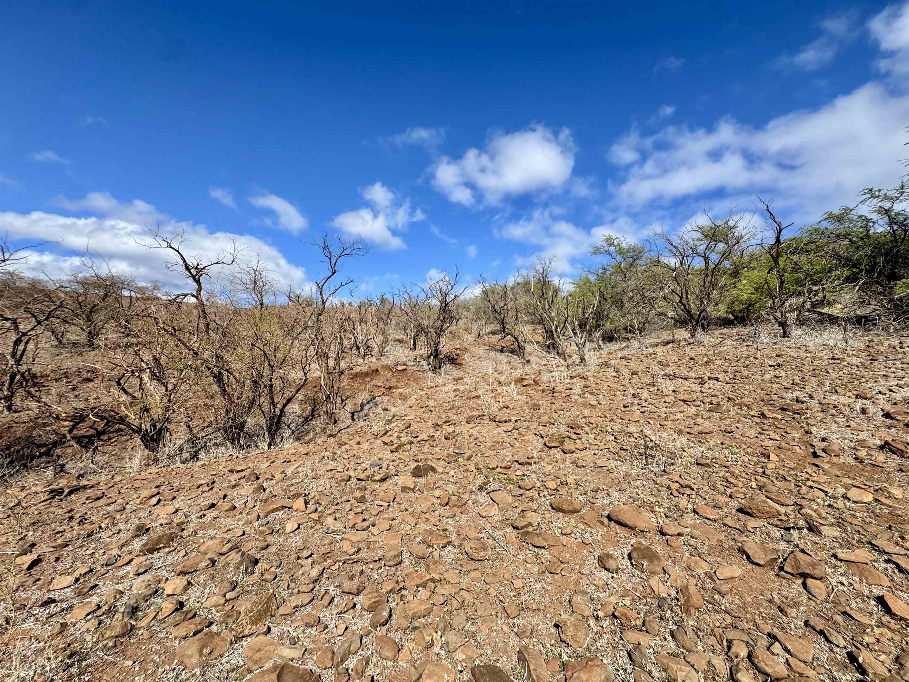 Uluanui Rd Property Photo 9