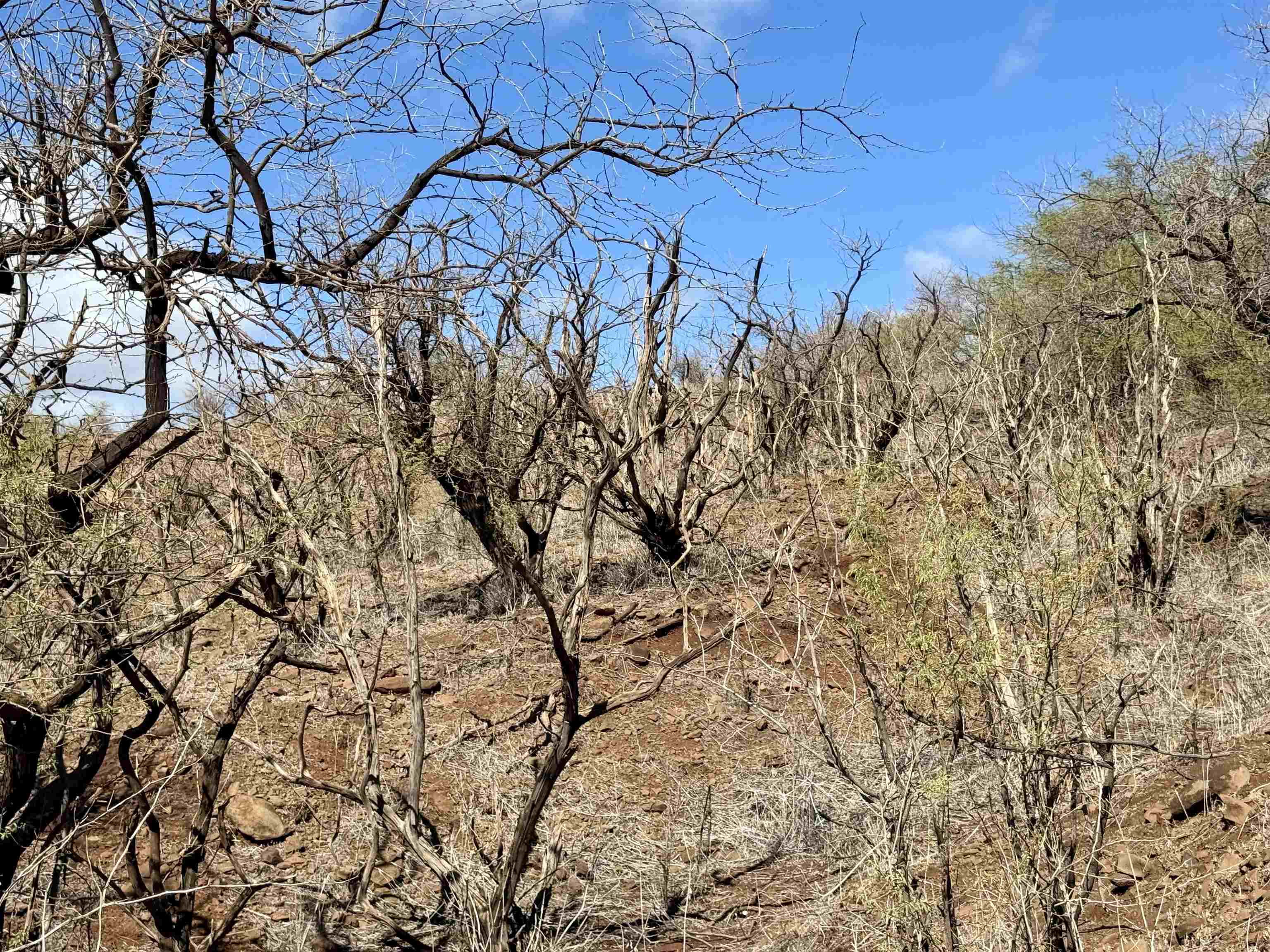 Uluanui Rd Property Photo 14