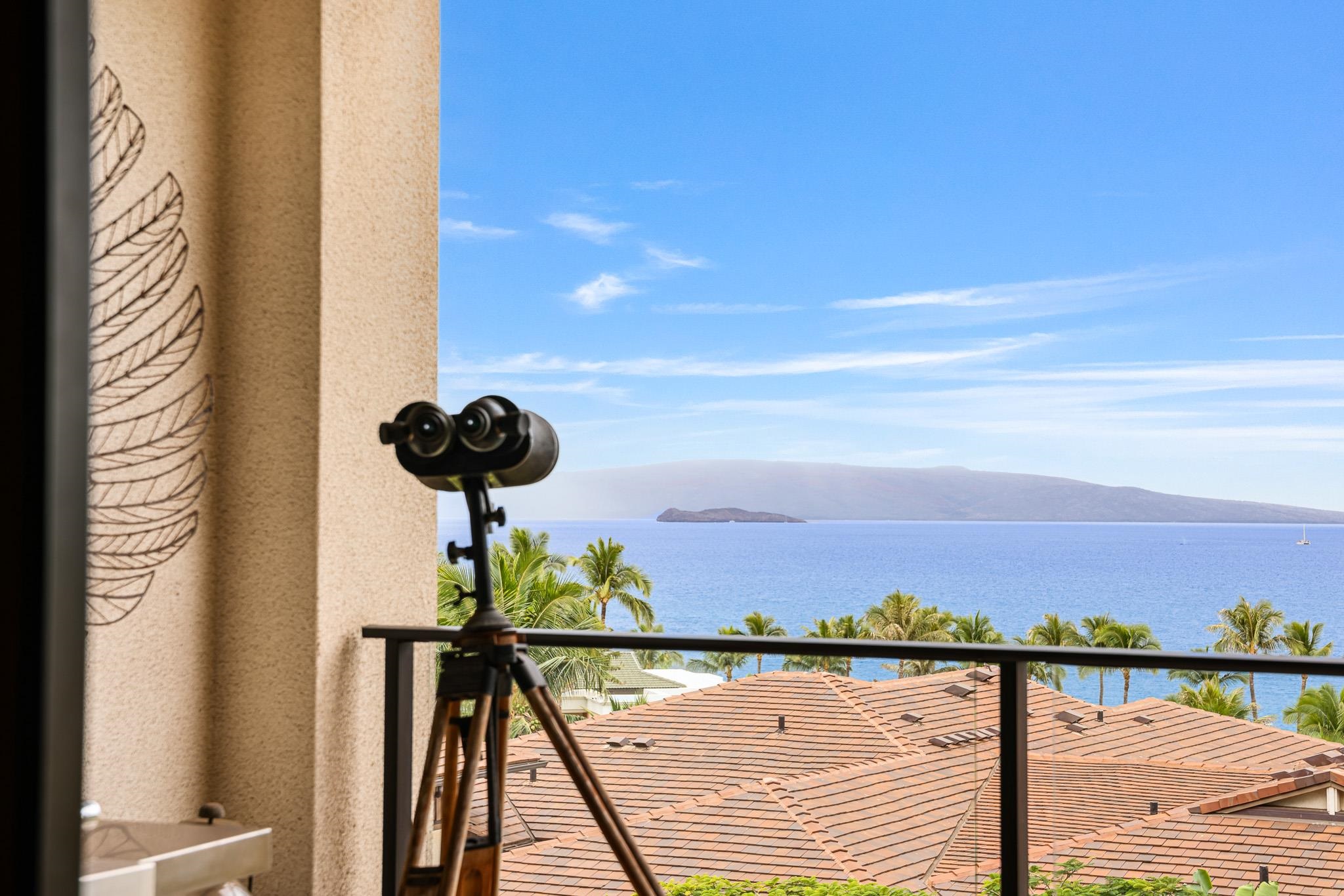 3800 Wailea Alanui Dr Property Photo 10