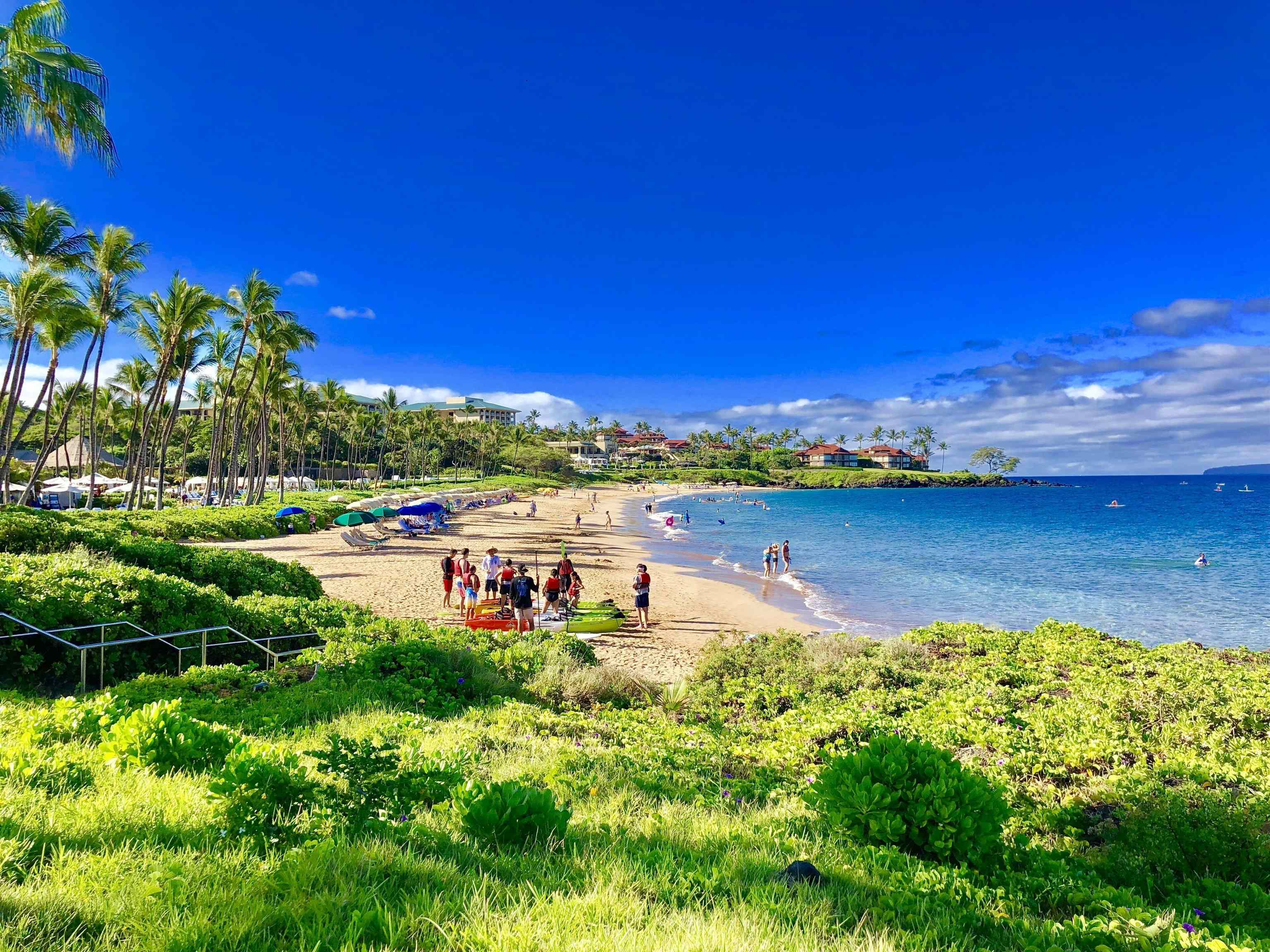 3800 Wailea Alanui Blvd Property Photo 11