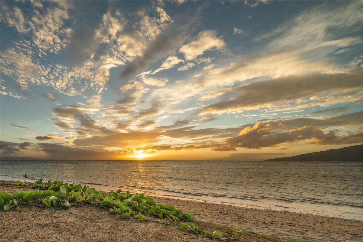 940 S Kihei Rd Property Photo 35