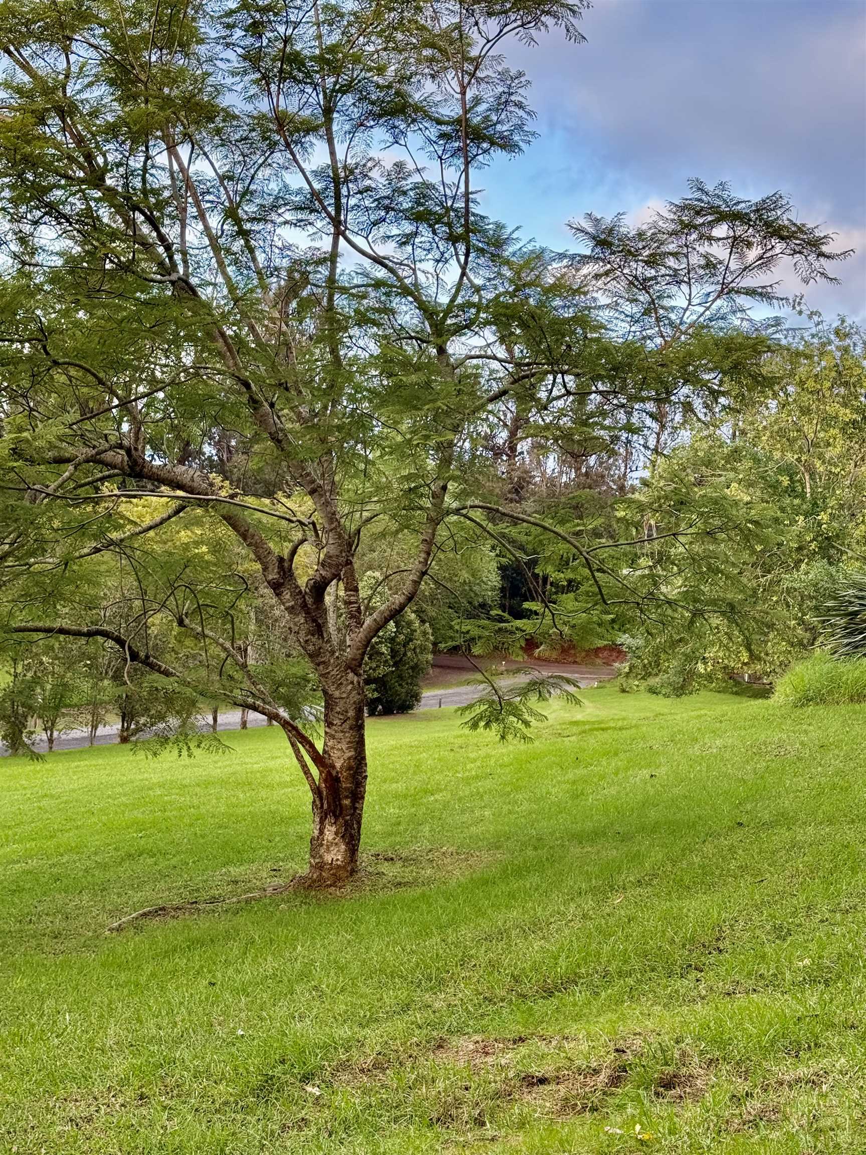 2400 Piiholo Rd Property Photo 14