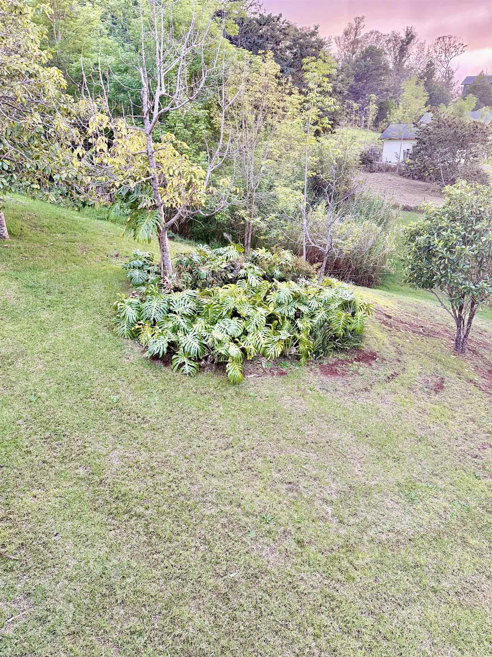 2400 Piiholo Rd Property Photo 17