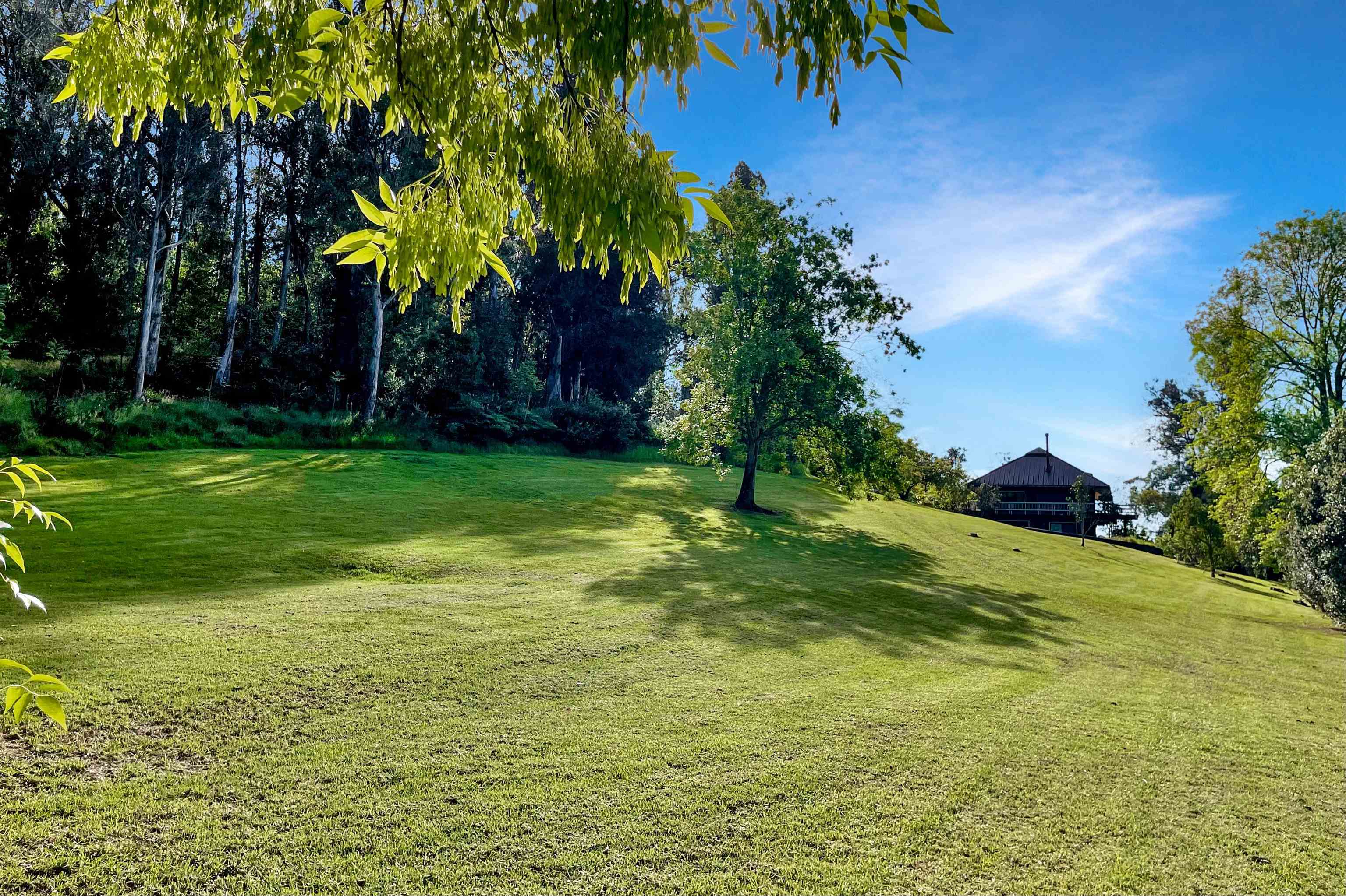 2400 Piiholo Rd Property Photo 45