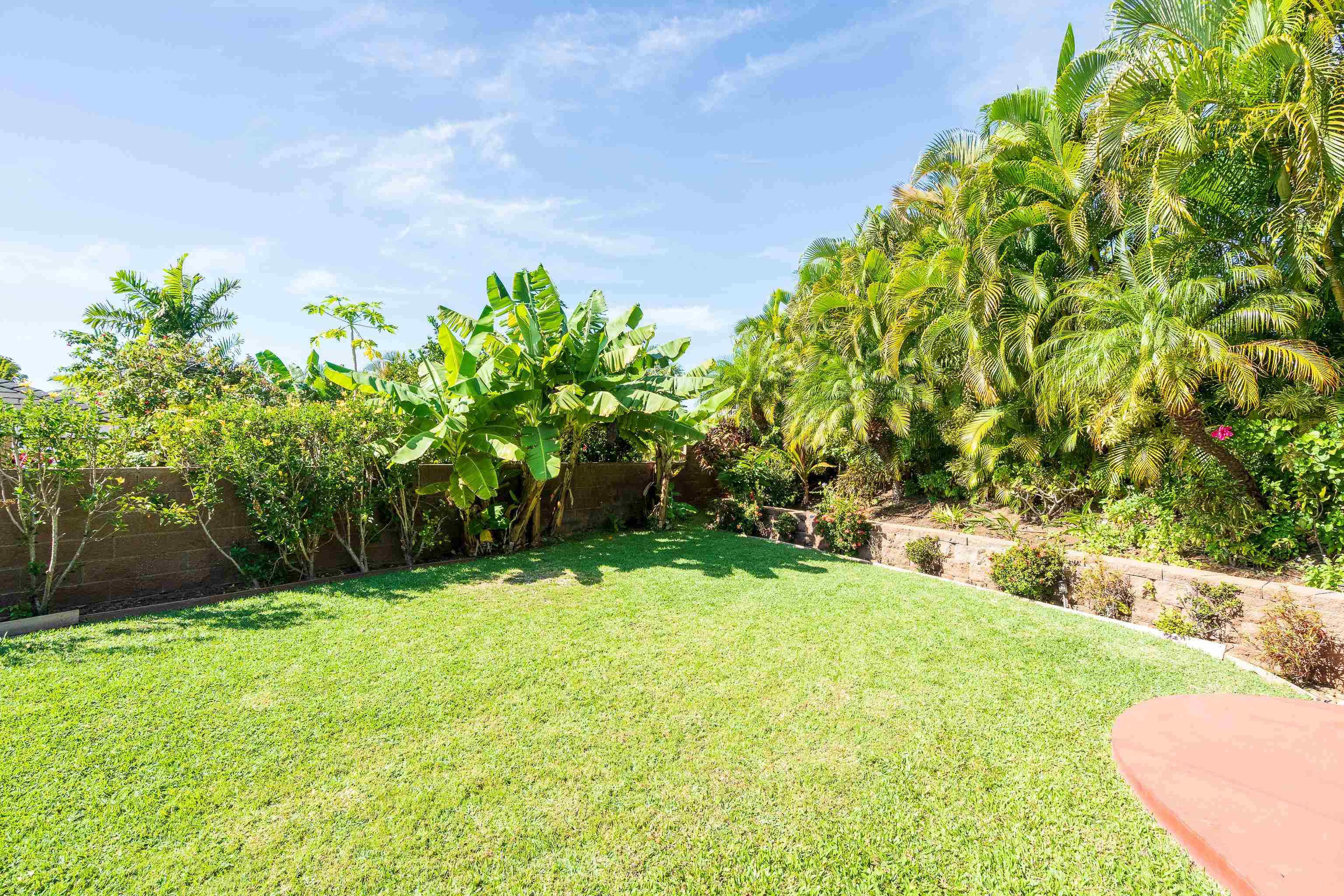 15 Laukahi St Property Photo 29