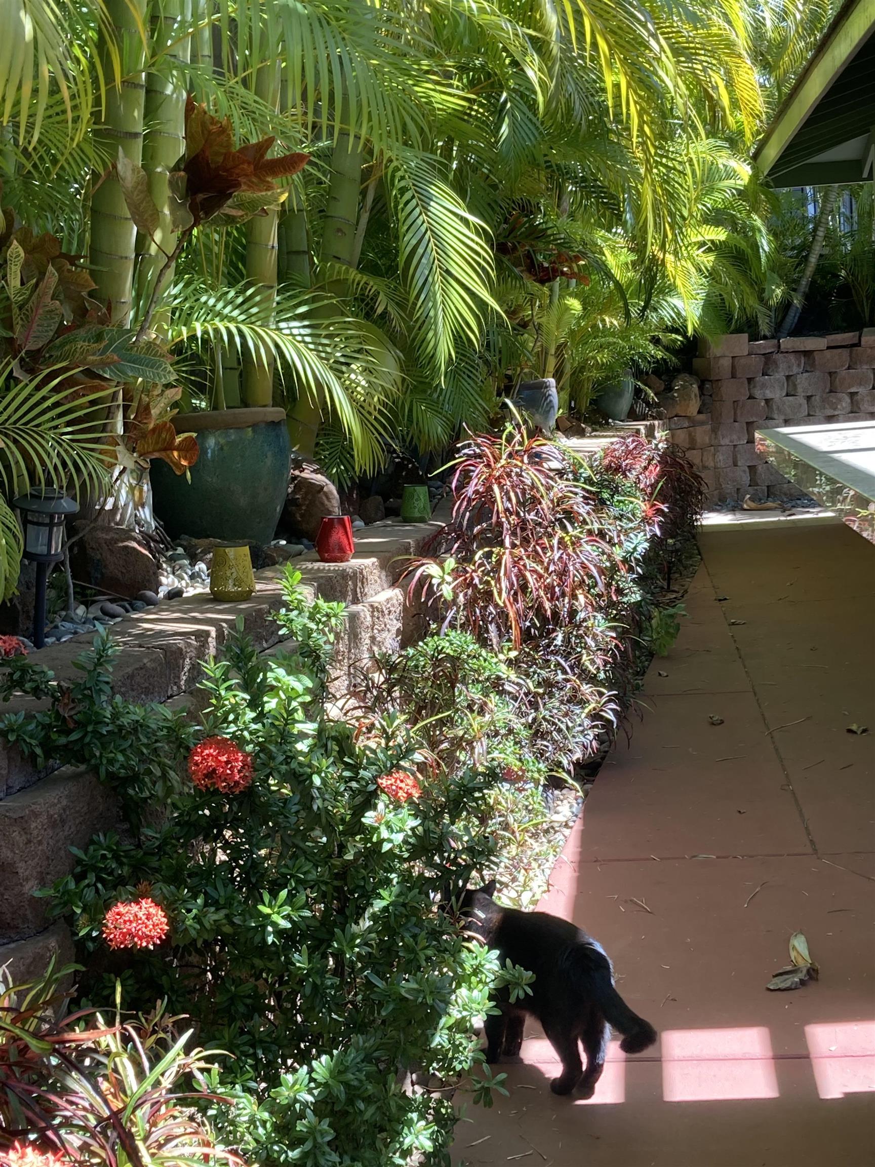 15 Laukahi St Property Photo 49