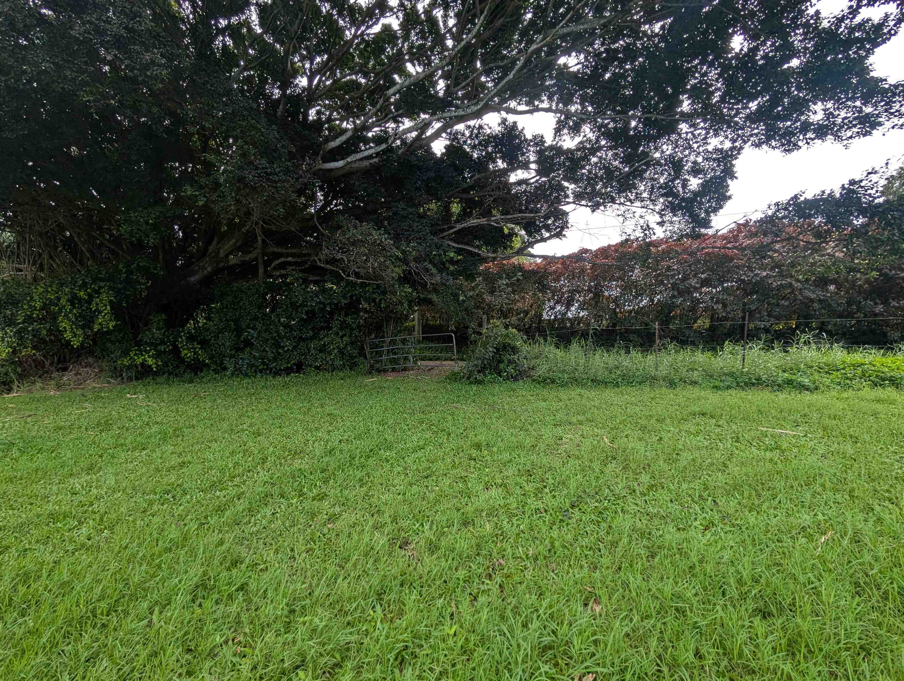 210 Door Of Faith Rd Property Photo 45