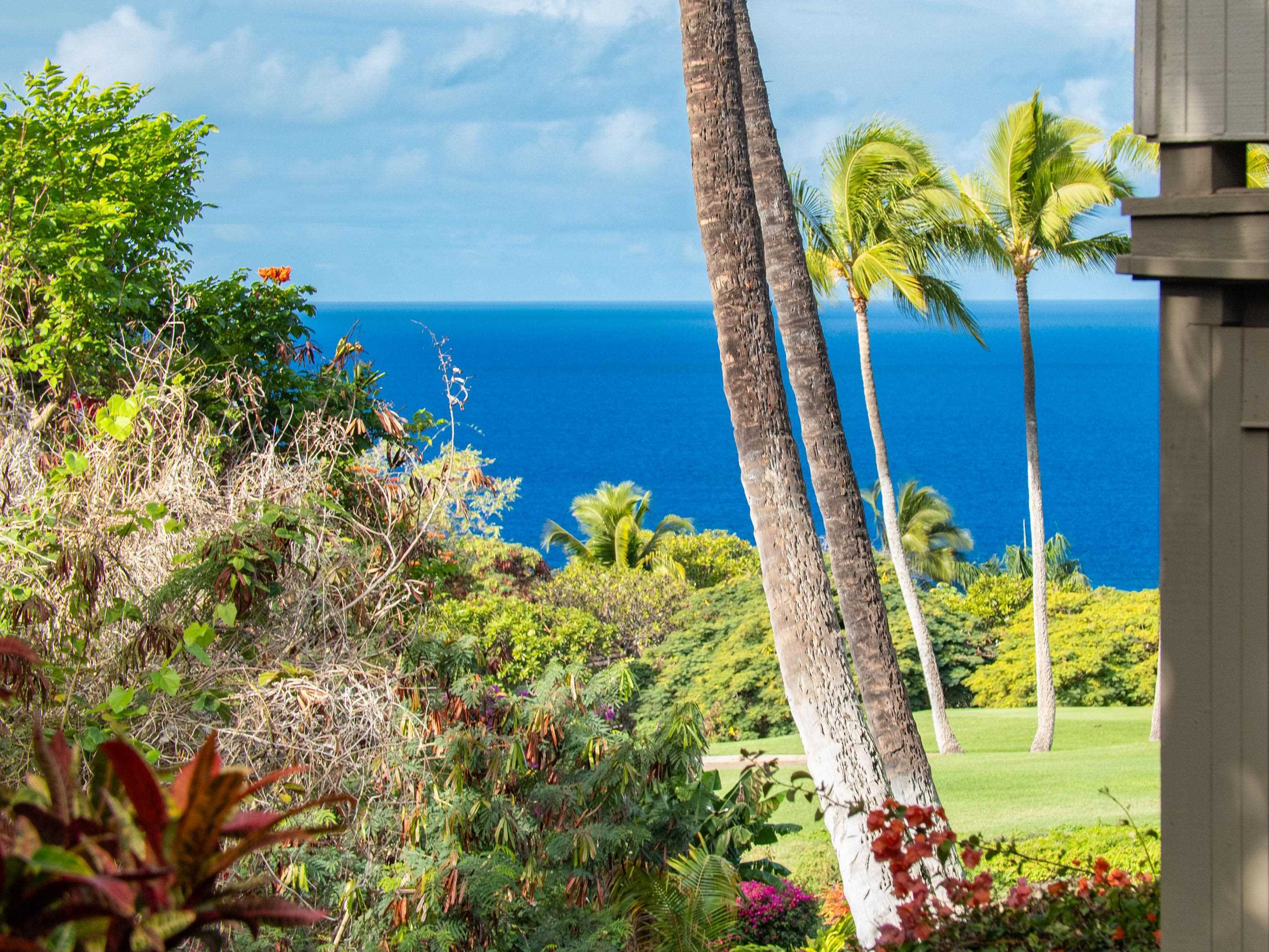 10 Wailea Ekolu Pl Property Photo 2