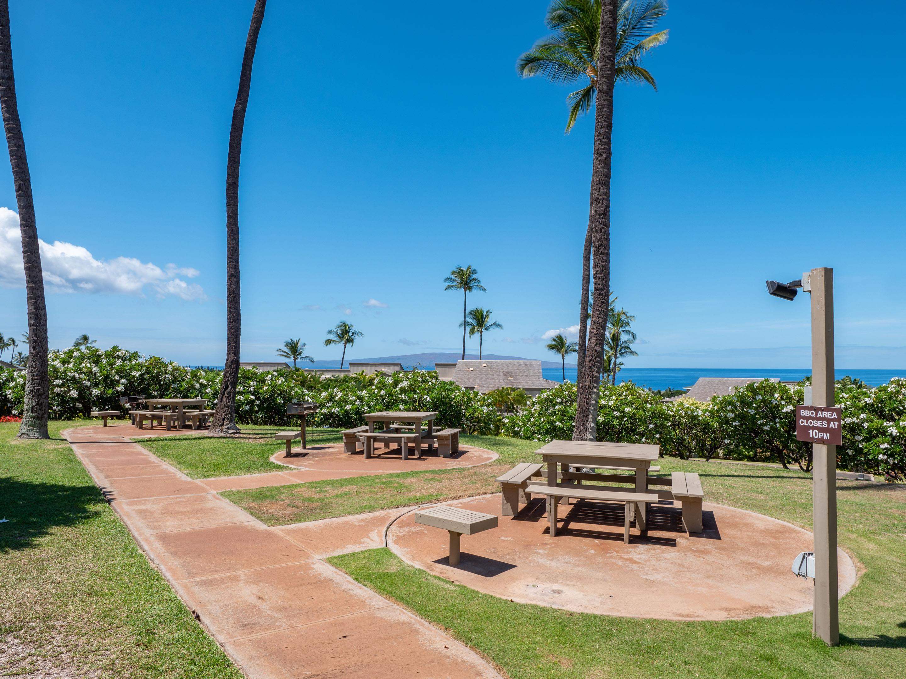 10 Wailea Ekolu Pl Property Photo 31