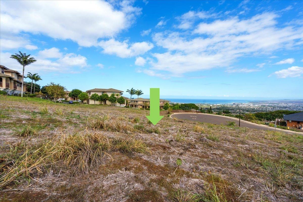 117 Hopo'i Pl Property Photo 21
