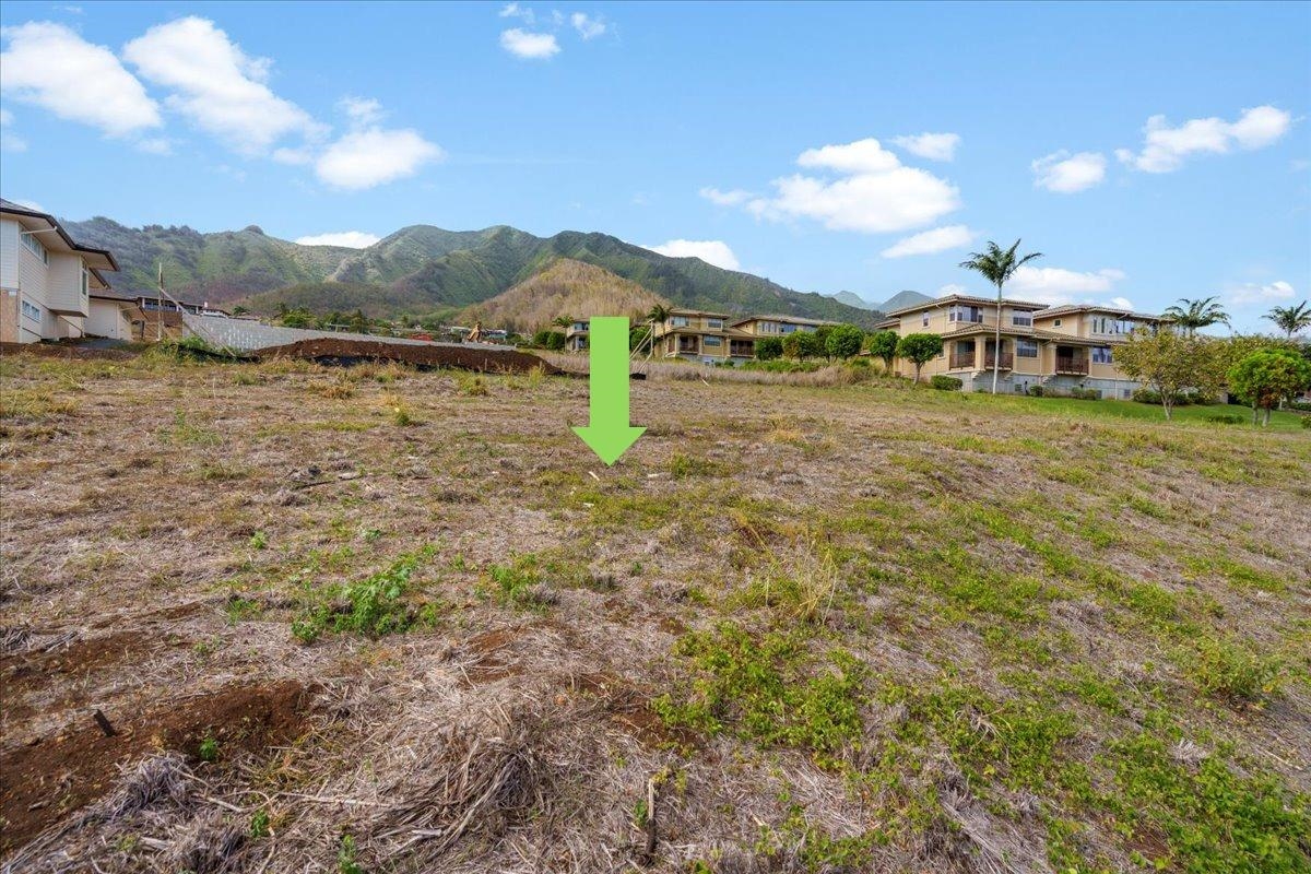 117 Hopo'i Pl Property Photo 23