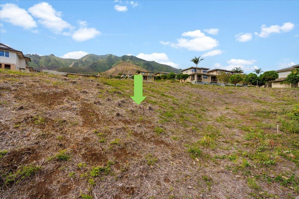 117 Hopo'i Pl Property Photo 24